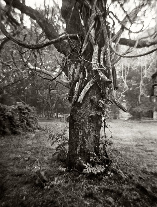 Linda Foard Roberts, Severed from the series Grounded