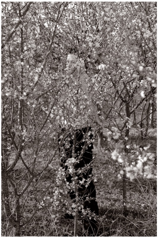 Copyright © Raymond Grubb courtesy of SOCO Gallery