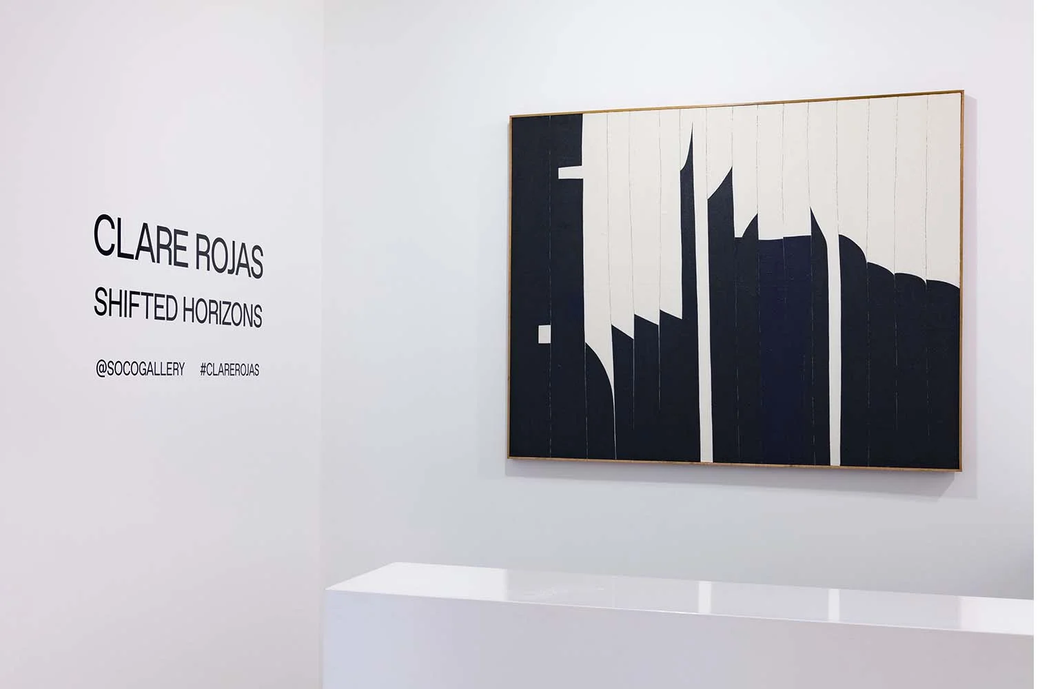 SOCOGallery_ClareRojas_ShiftedHorizons_Photo:LydiaBittner-Baird_8.jpg