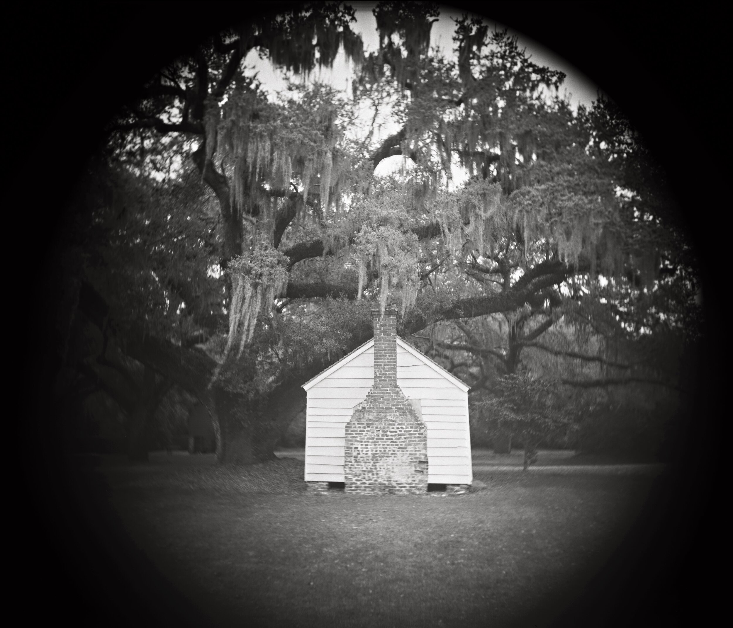 LINDA FOARD ROBERTS (b. 1961) Weeping Tree, 2018 gelatin silver photograph 24 x 28 inches edition 1 of 10 INQUIRE+