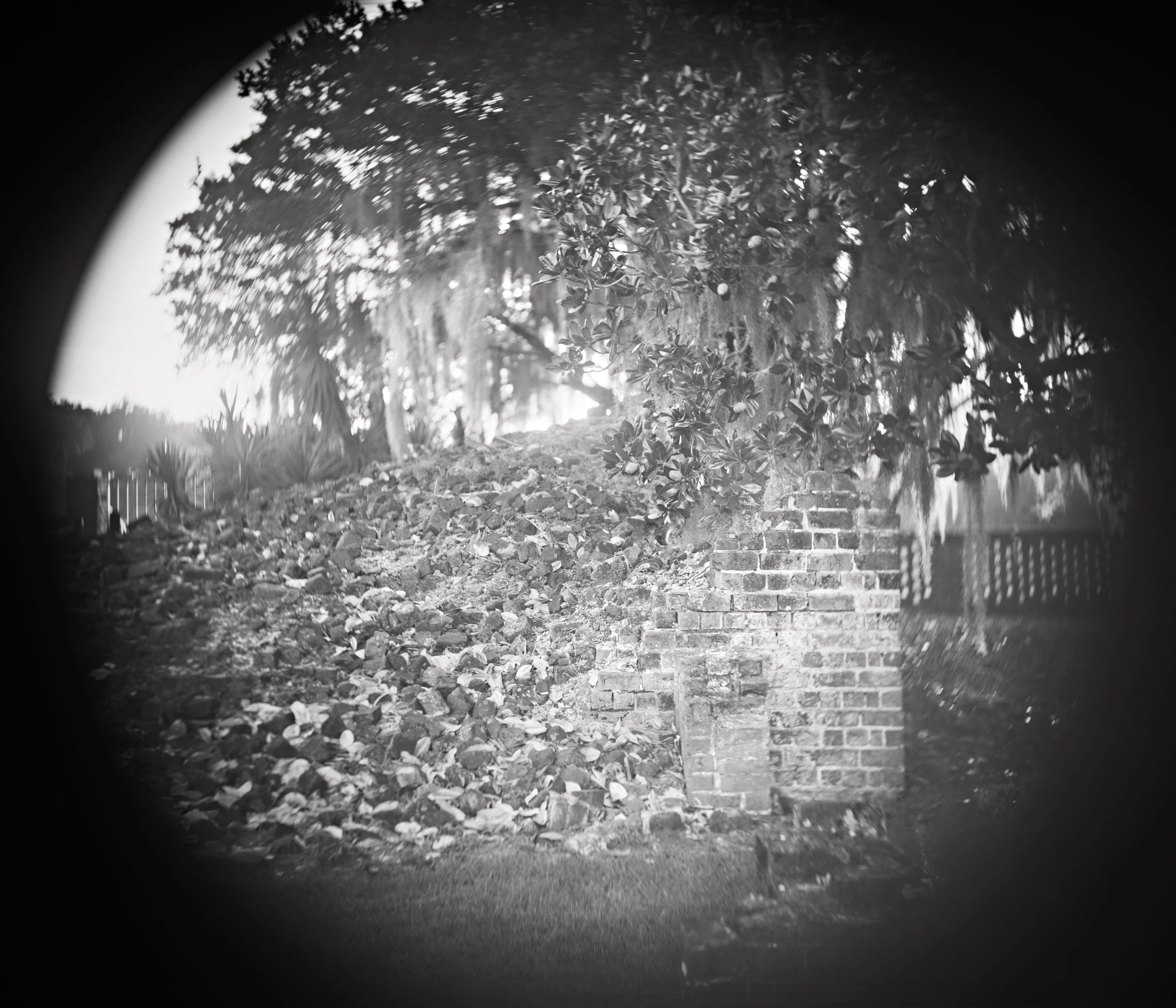 LINDA FOARD ROBERTS Fallen , 2020 gelatin silver photograph 24 x 28 inches 29.5 x 33 inches framed edition 1 of 10 INQUIRE+