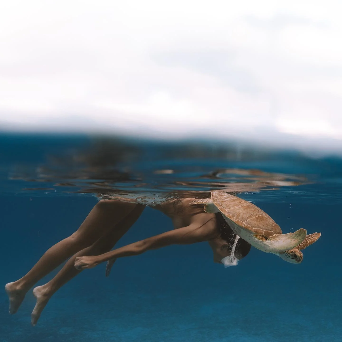 Everything that shows up in your life has something to teach you. 

🧜🏼&zwj;♀️ @bella.reesie 
(psa&hellip; no turtles were touched in these photos) 

#adventureisoutthere #stoked #exploreoutdoors #tropicalbandit #createadventure #getoutandexplore #l
