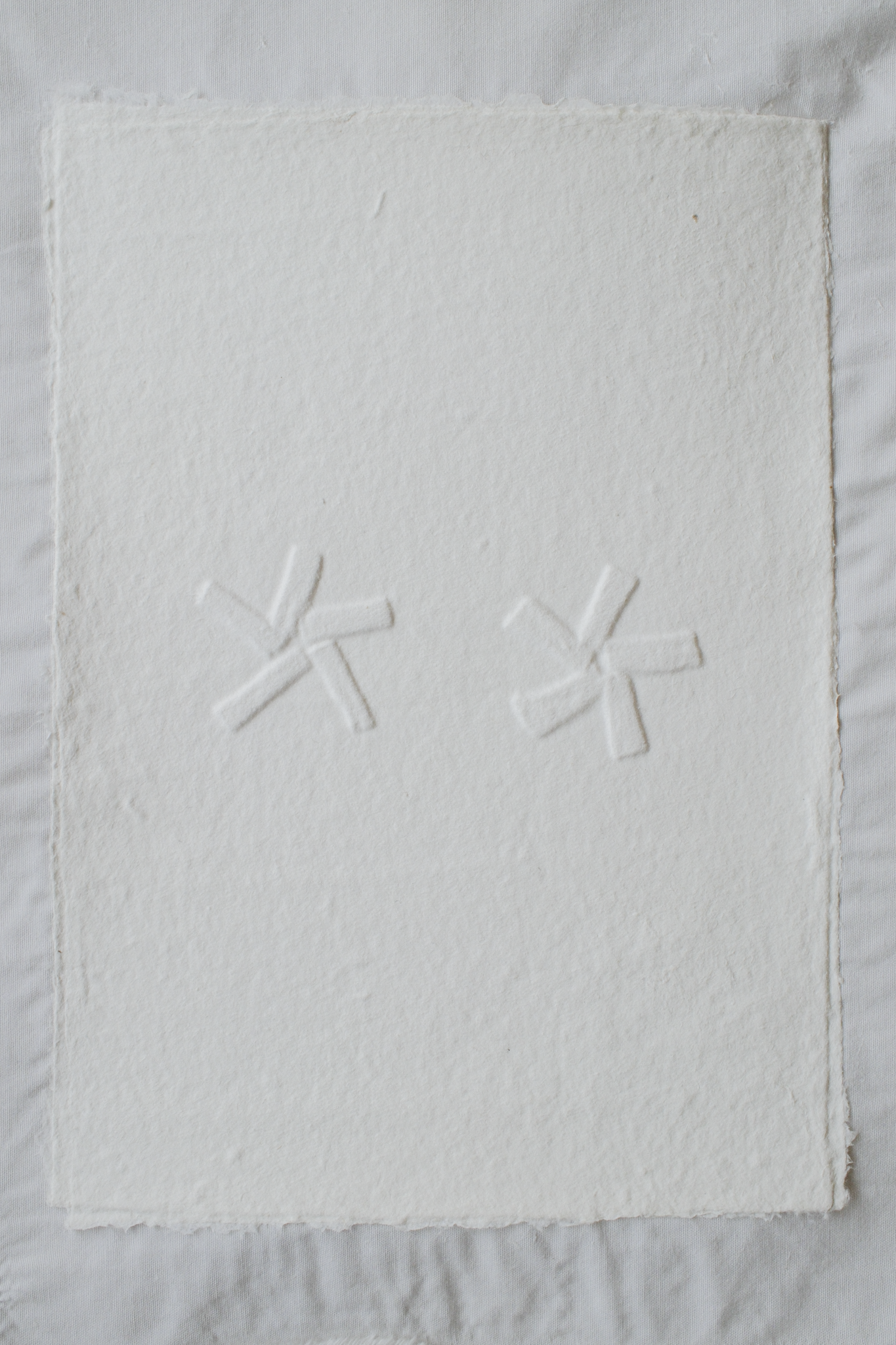 Aminah Product Images-57.png
