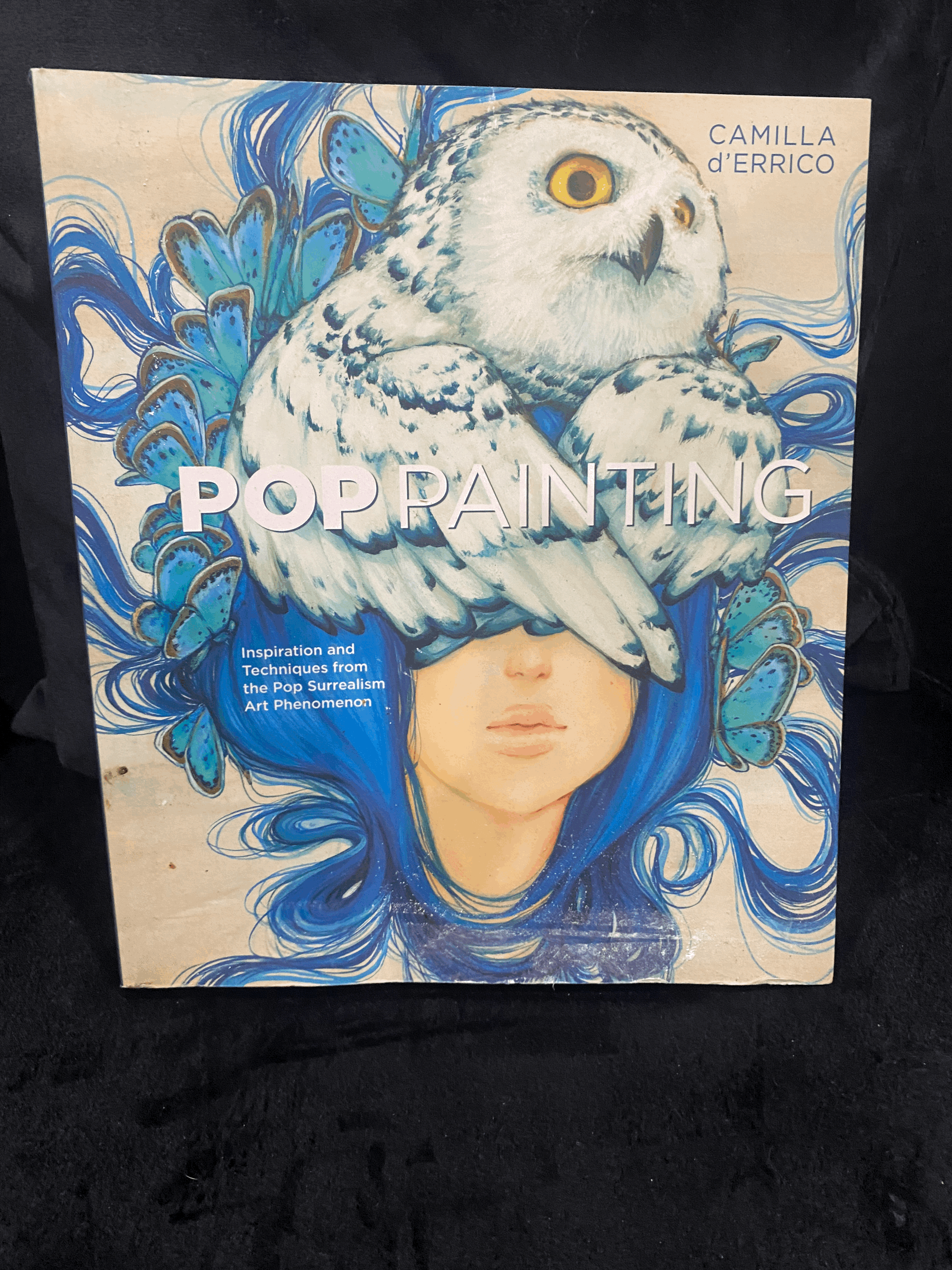 POP PAINTING - CAMILLA D'ERRICO