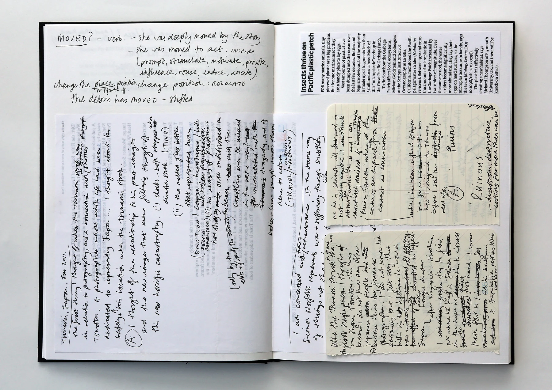 Shoal - sketchbook page