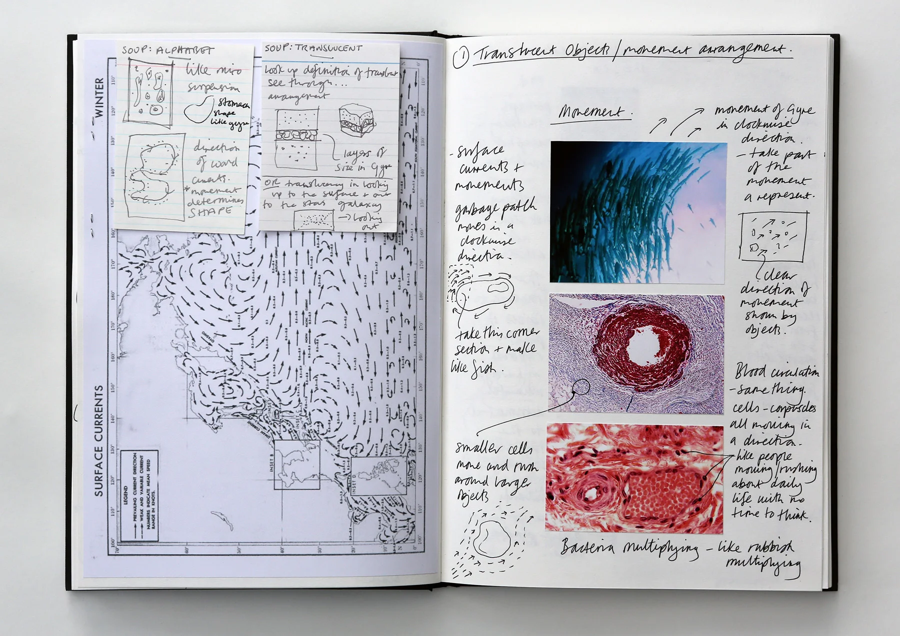 SOUP - sketchbook page - Translucent 2
