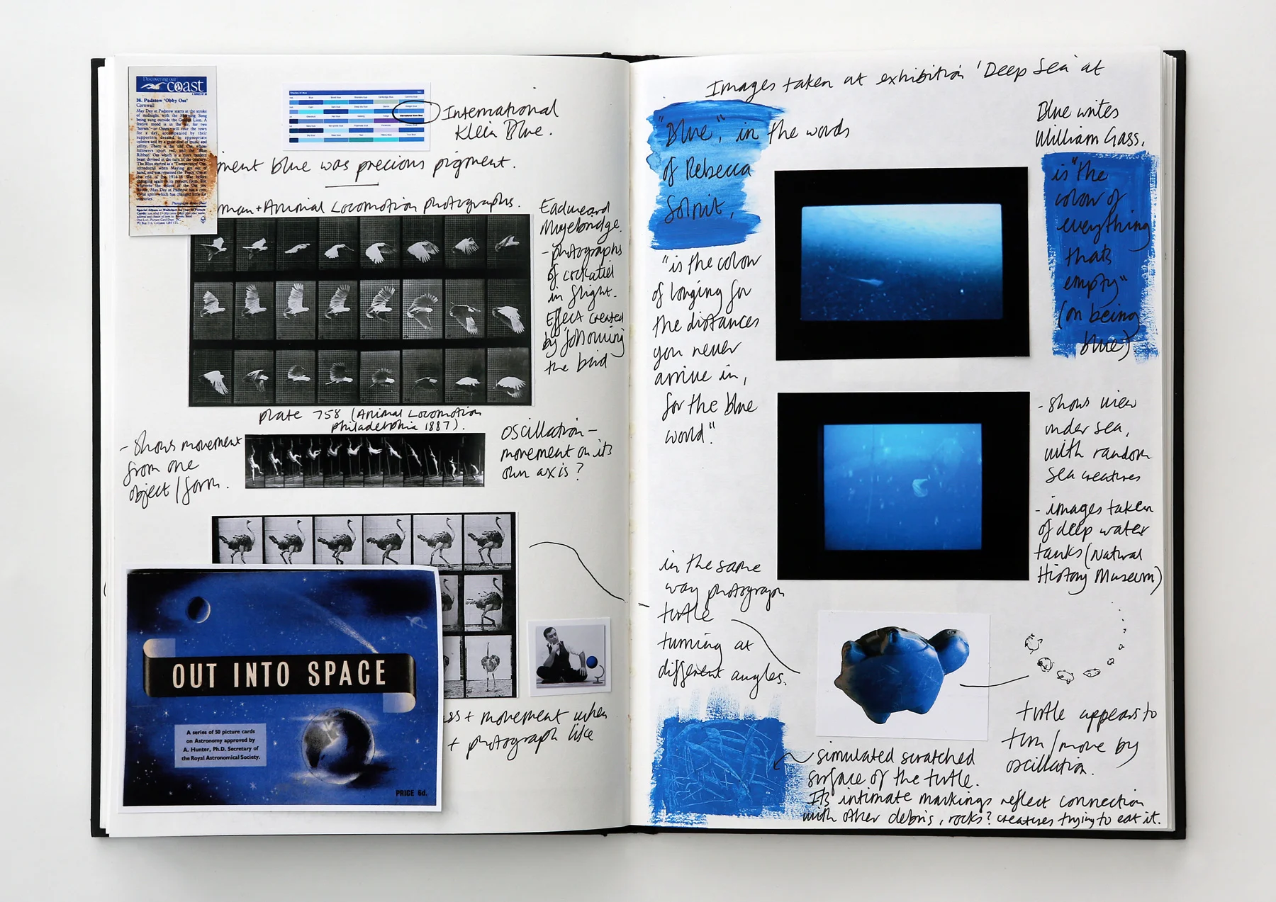 SOUP - sketchbook page - Turtle 2