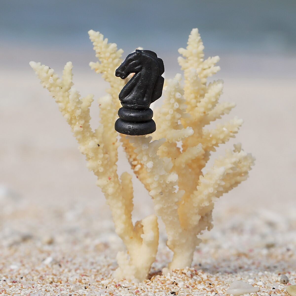 Marine plastic debris BLACK KNIGHT on coral, Henderson Island 2019.

In the game of chess - compared to other chess pieces the knight's movement is unique, while moving, it can jump over other pieces to reach its destination. But in the sea the knigh