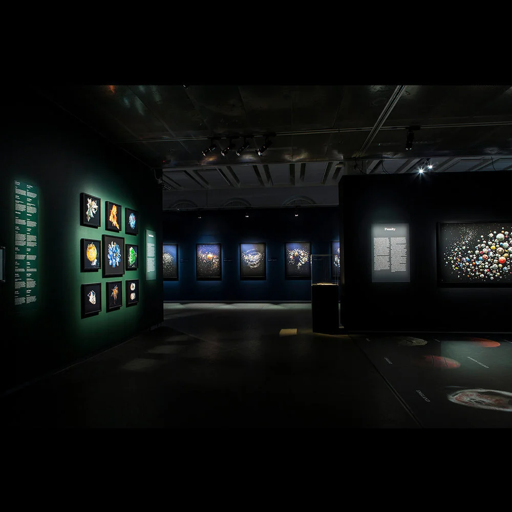 'Sea of Artifacts' - Fotografiska, Sweden, Stockholm - opening on World Oceans Day 8 June - 25 August 2019 