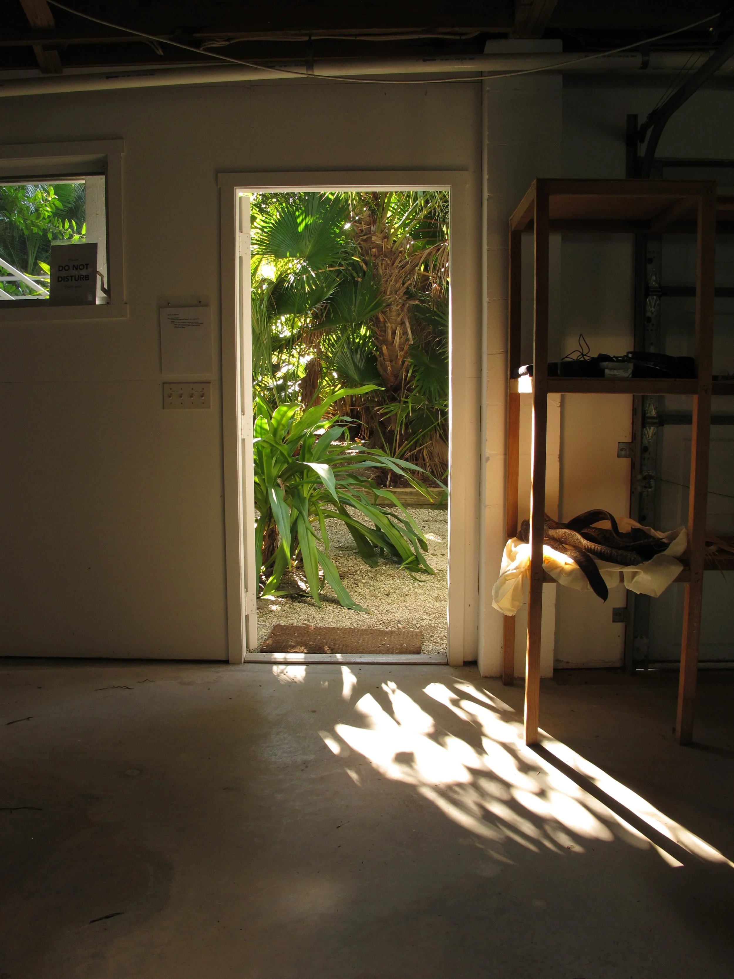 5 DaylightStudio4.JPG