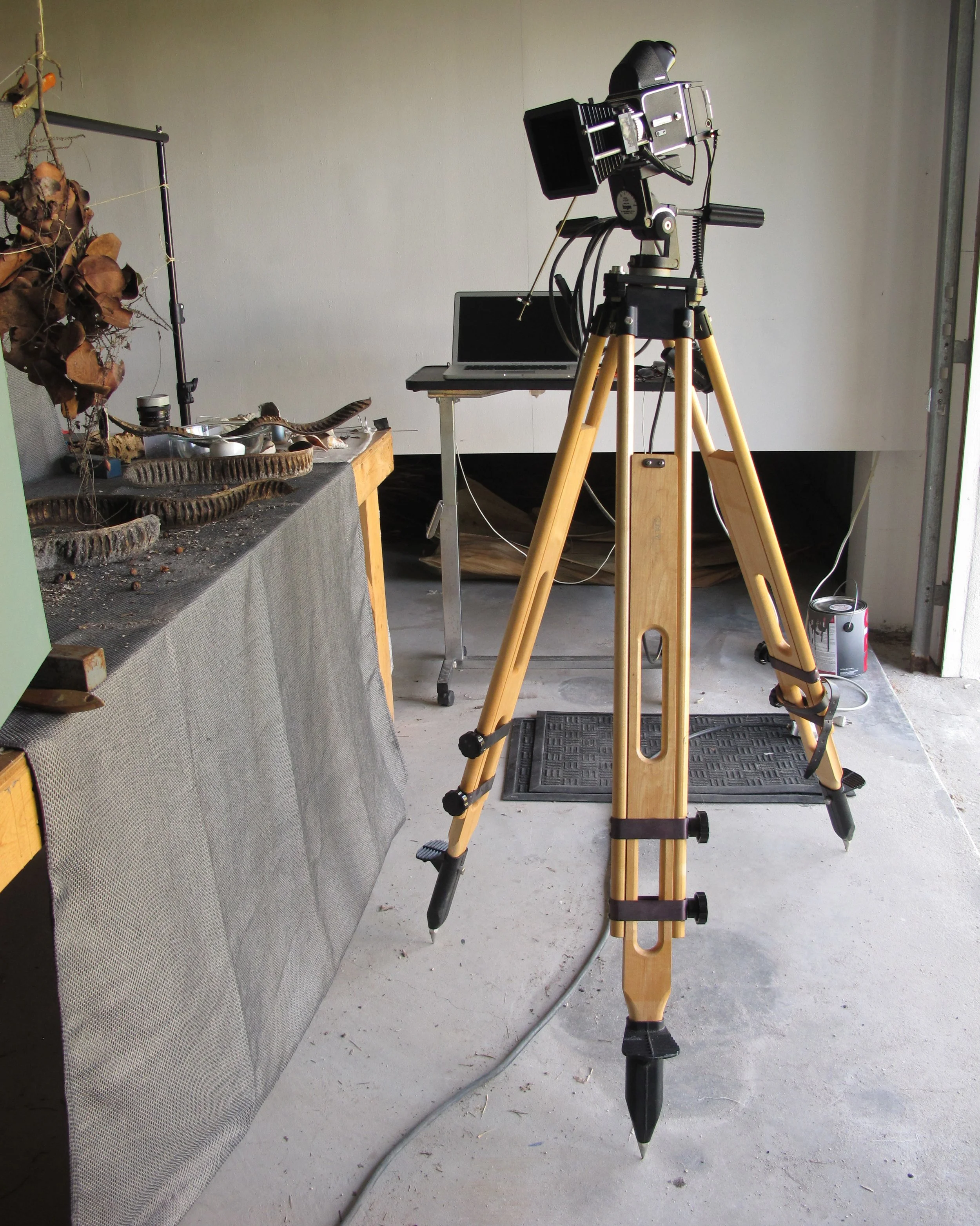 6 DaylightSutdio5.JPG