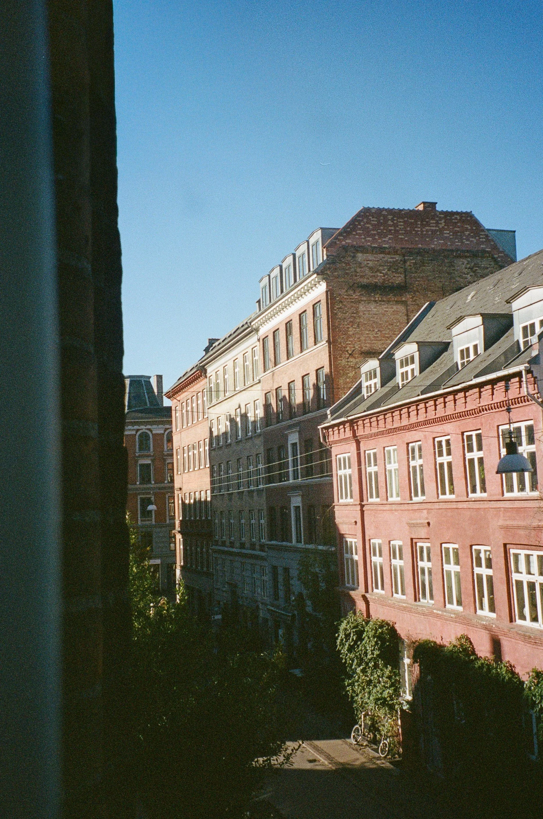 IMG_1070.jpg