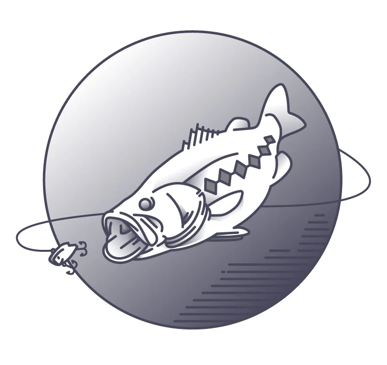 bass_linework.jpg