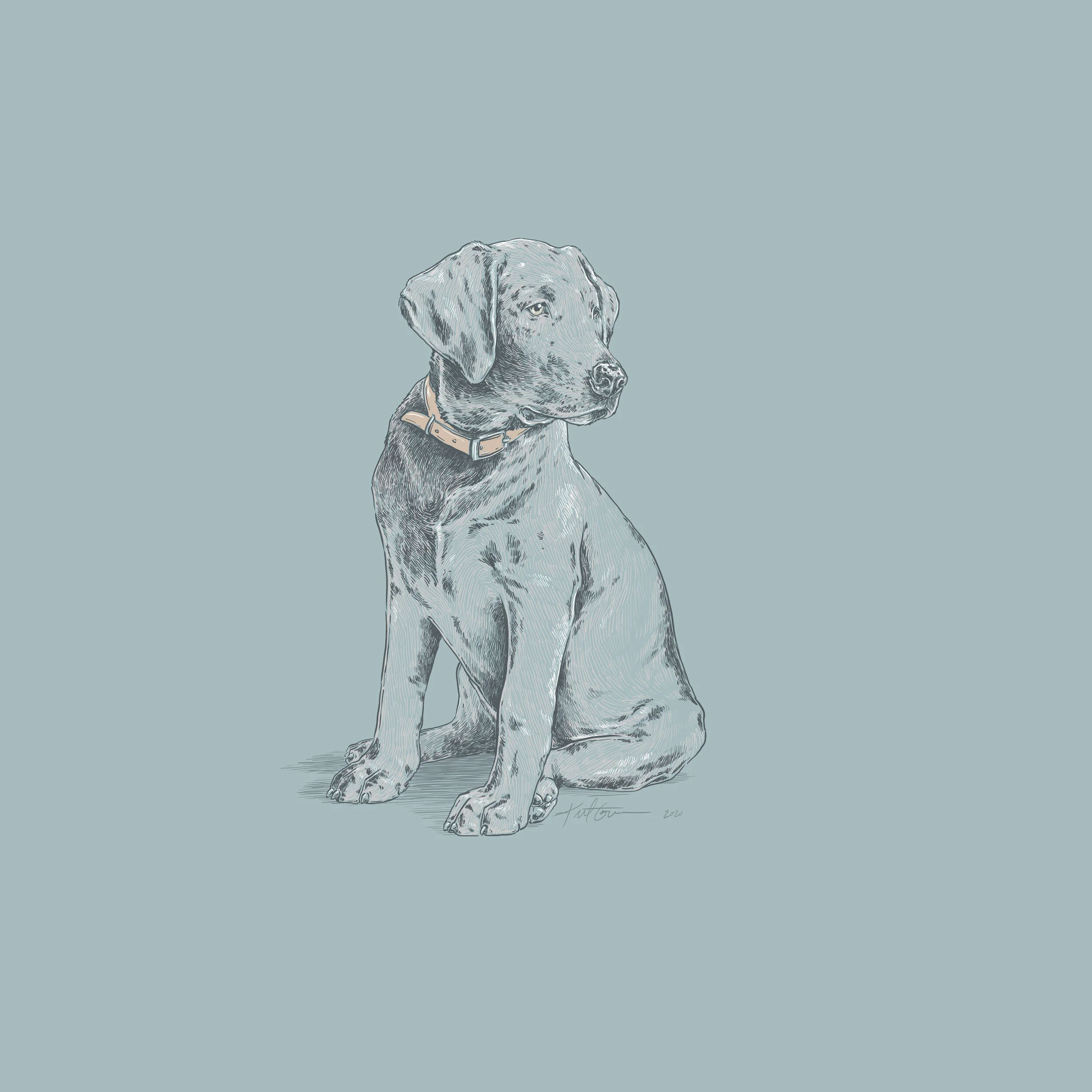 SilverLab-SharonAbbott.jpg