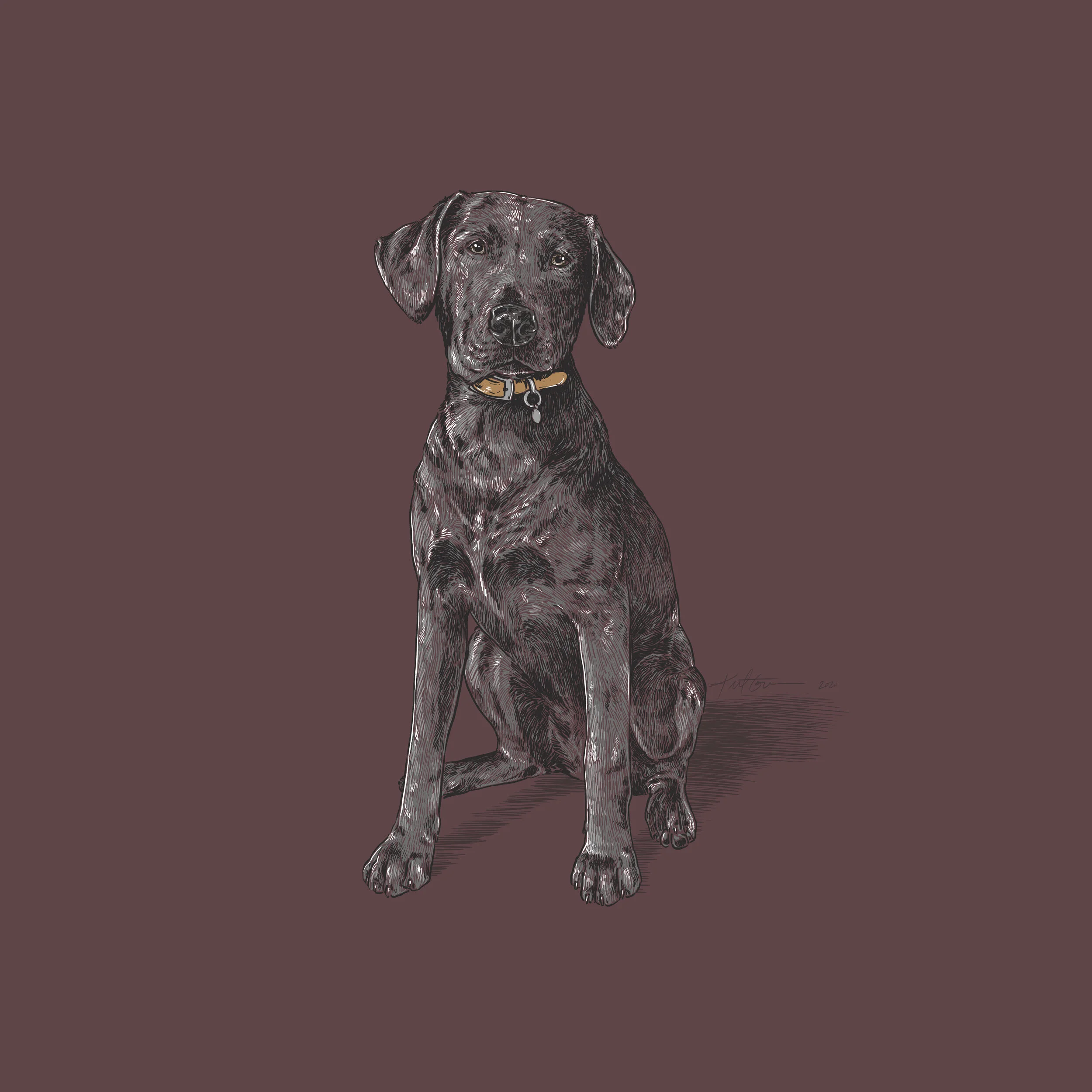 SilverLab-SarahBethMesser.jpg