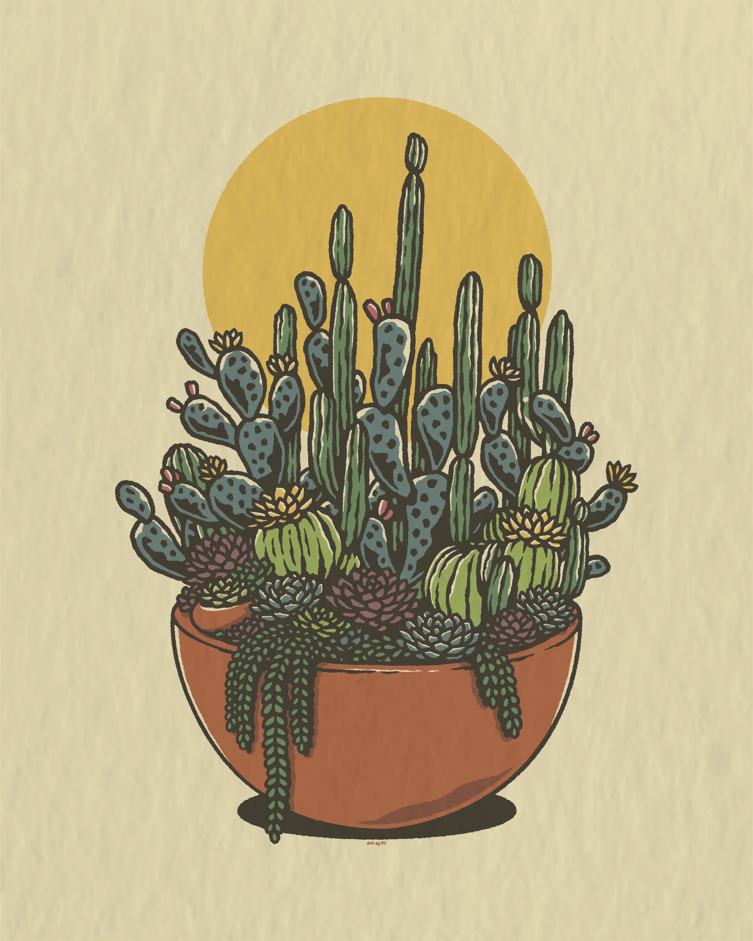 DD-CactiPlanter.jpg