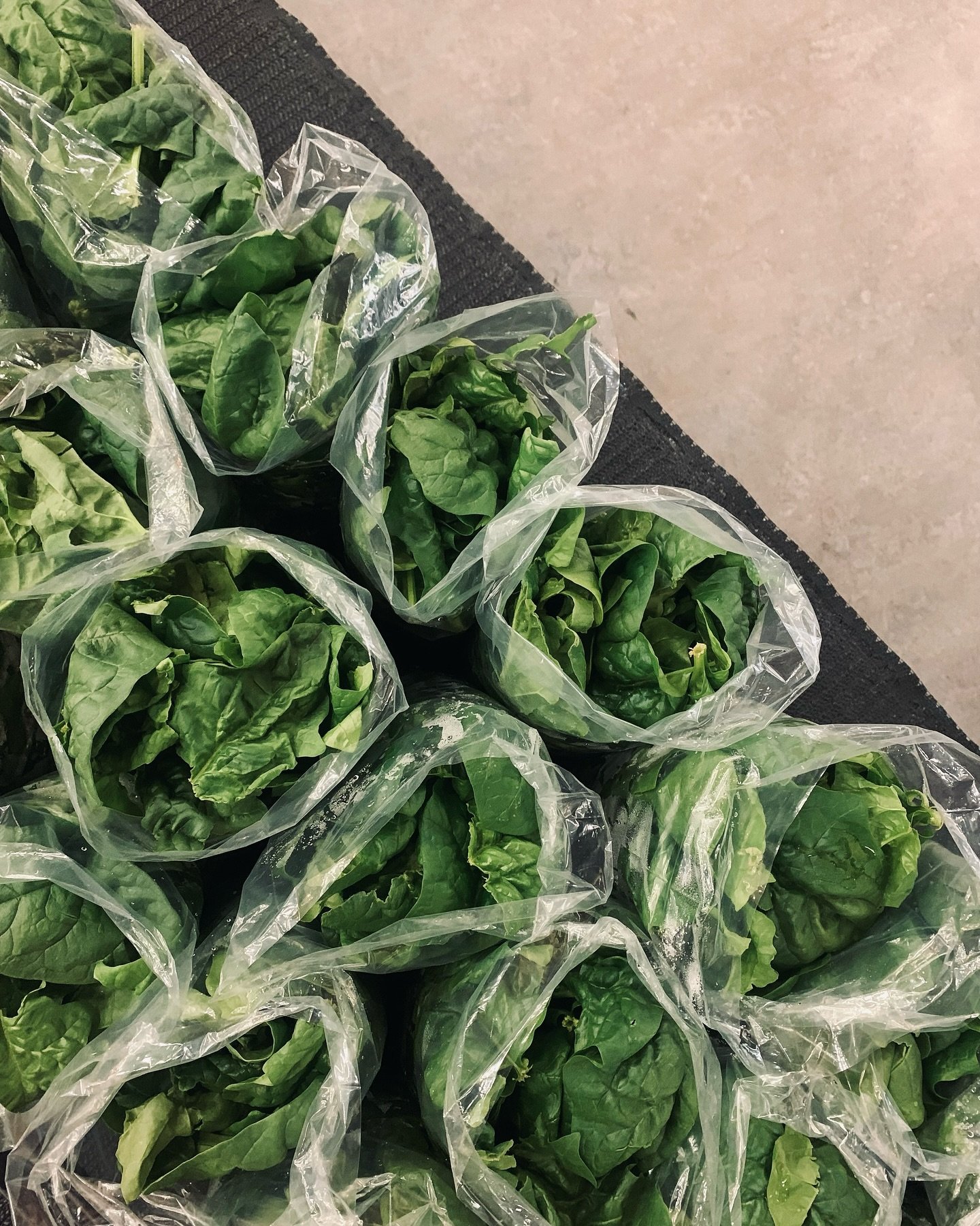 It&rsquo;s OPENING DAY at the @vernon_farmers_market and also our first day with fresh spinach! 🍃🍃🍃
See you between 8am-1pm on Thursdays at Kal Tire Place on 43rd Avenue.