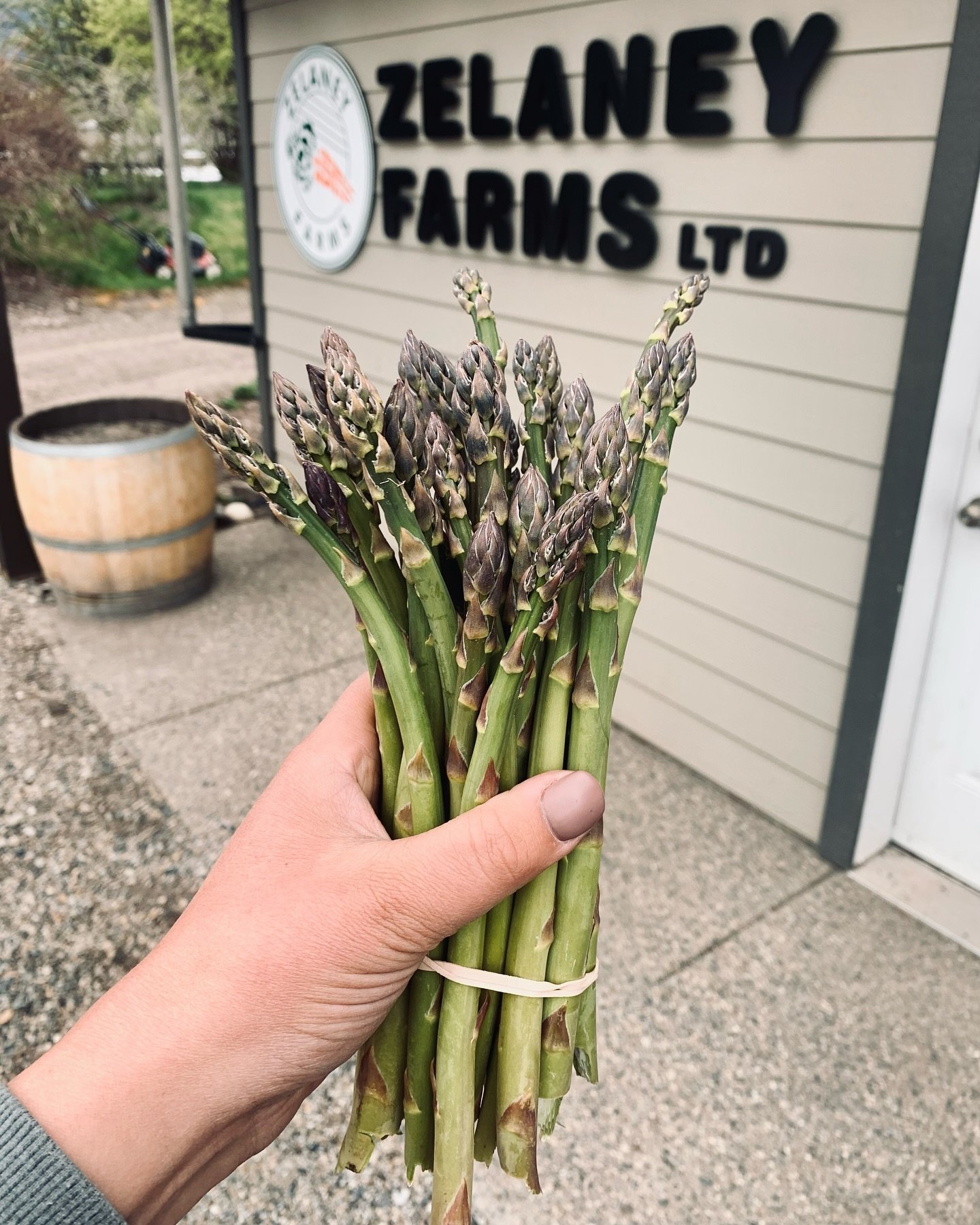 Now available at our Farm Shoppe in Lavington!
Fresh Asparagus grown by our friends at @sparrowgrassfieldandflower in Armstrong. 

OPEN now Monday to Saturday 9am-5pm
5481 Petworth Rd in Lavington