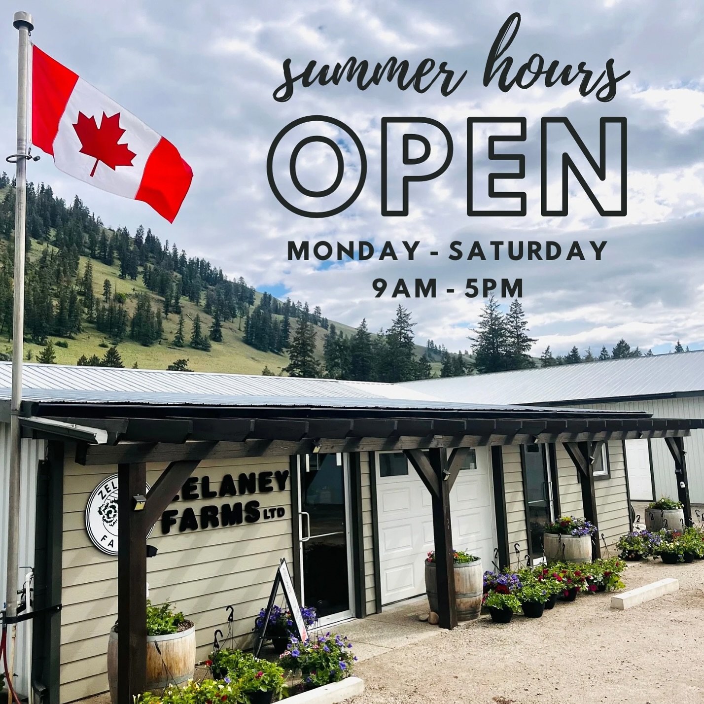 💥 OPEN FOR THE SEASON! 💥
Our Farm Shoppe is officially open 6 days a week, starting TODAY! Now open Monday thru Saturday from 9am to 5pm until the end of October. 

🥕 We&rsquo;ve still got our super sweet carrots and beets, and our fresh spinach i