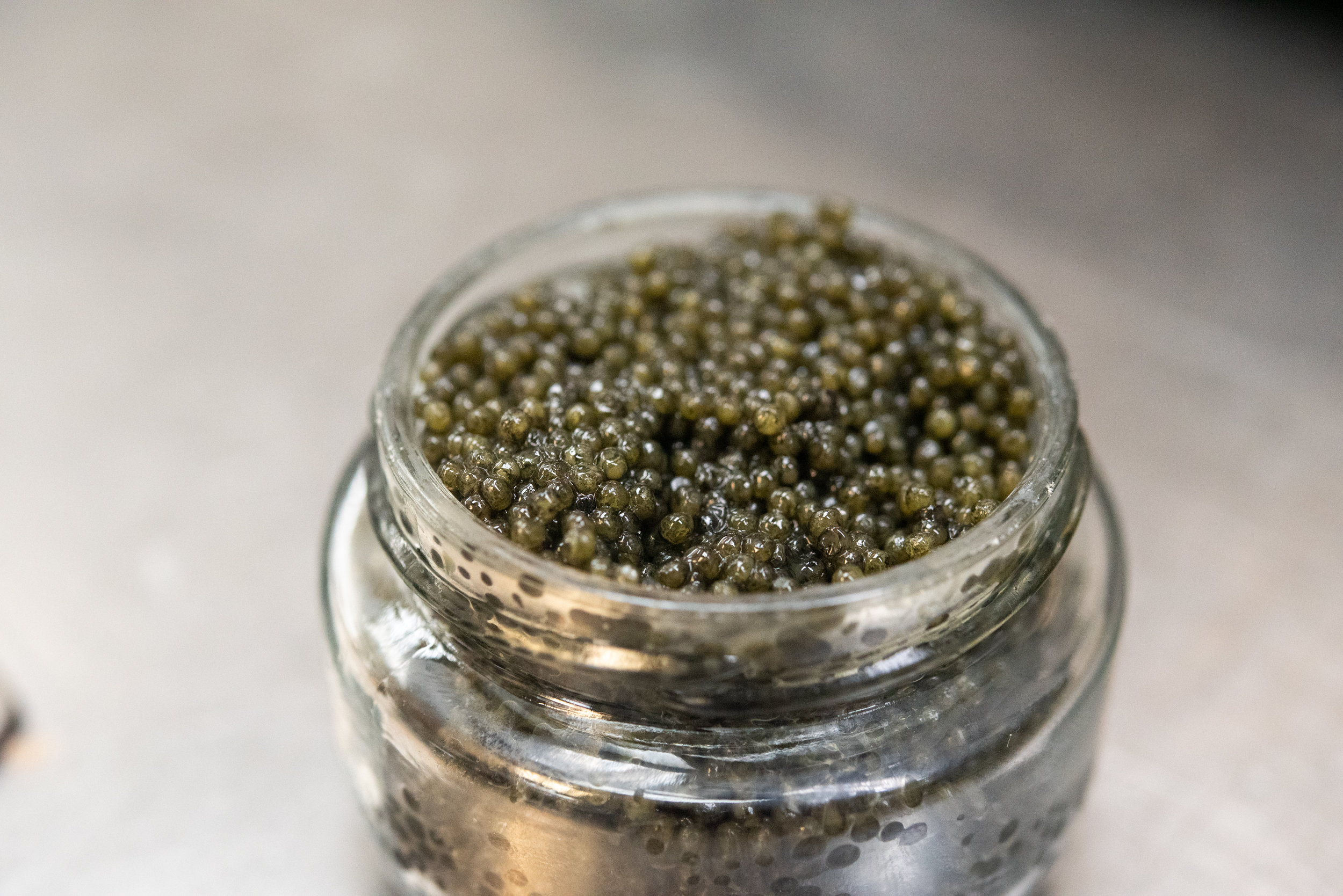 2019 - Caviar Dinner - Web Res - 2.14.19-7.jpg