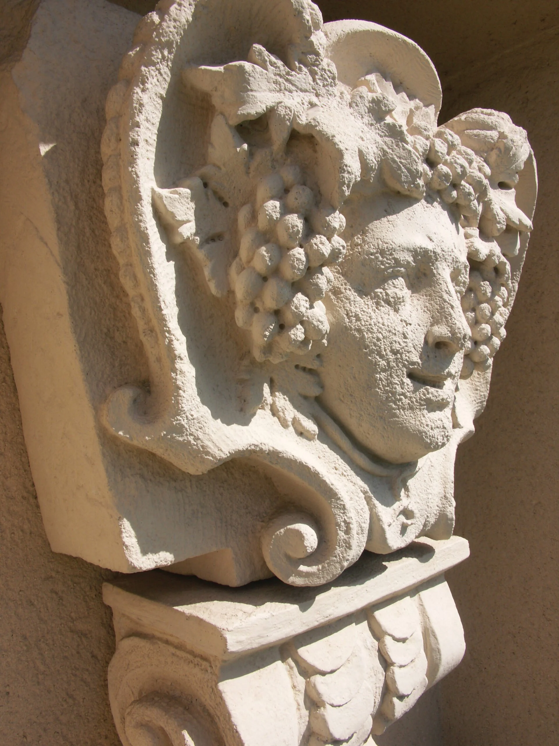 Jadot Bacchus.JPG