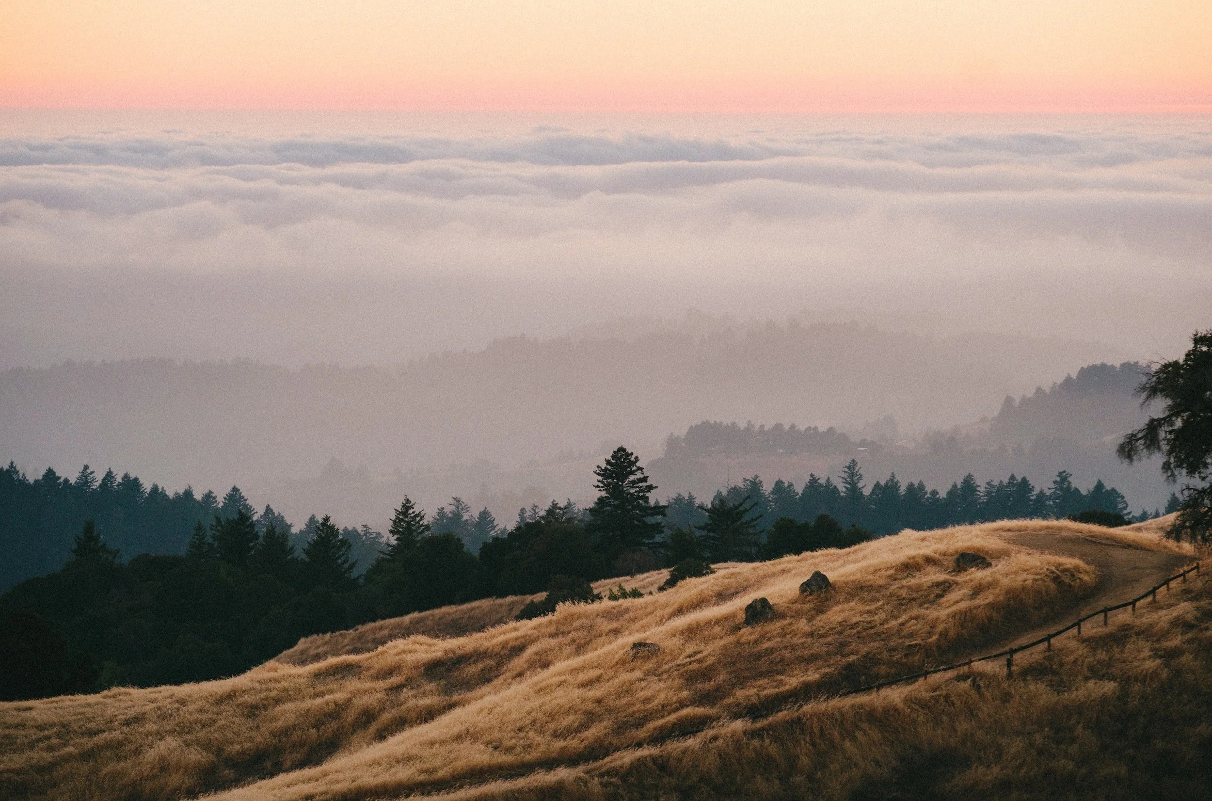unsplash-image-1pVk3qfzbJ4.jpg