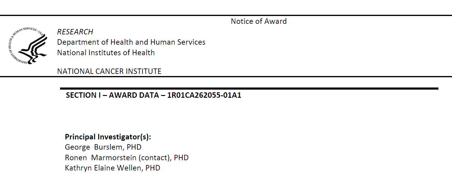 News — Burslem Lab