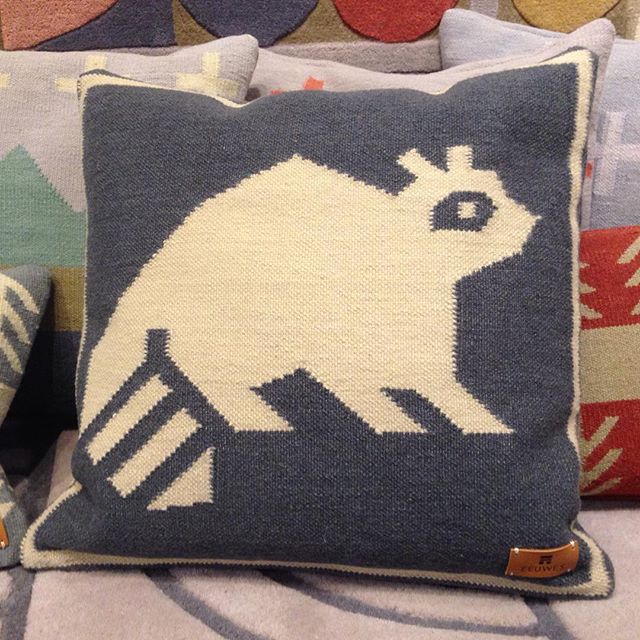 This guy! The new trash panda cushion by @studioeeuwes So Toronto. #raccoon #toronto #urbanwildlife #canadiandesigner