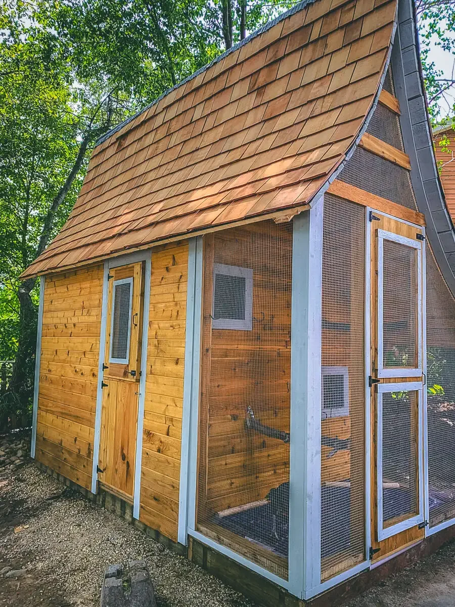 chicken-coup.webp