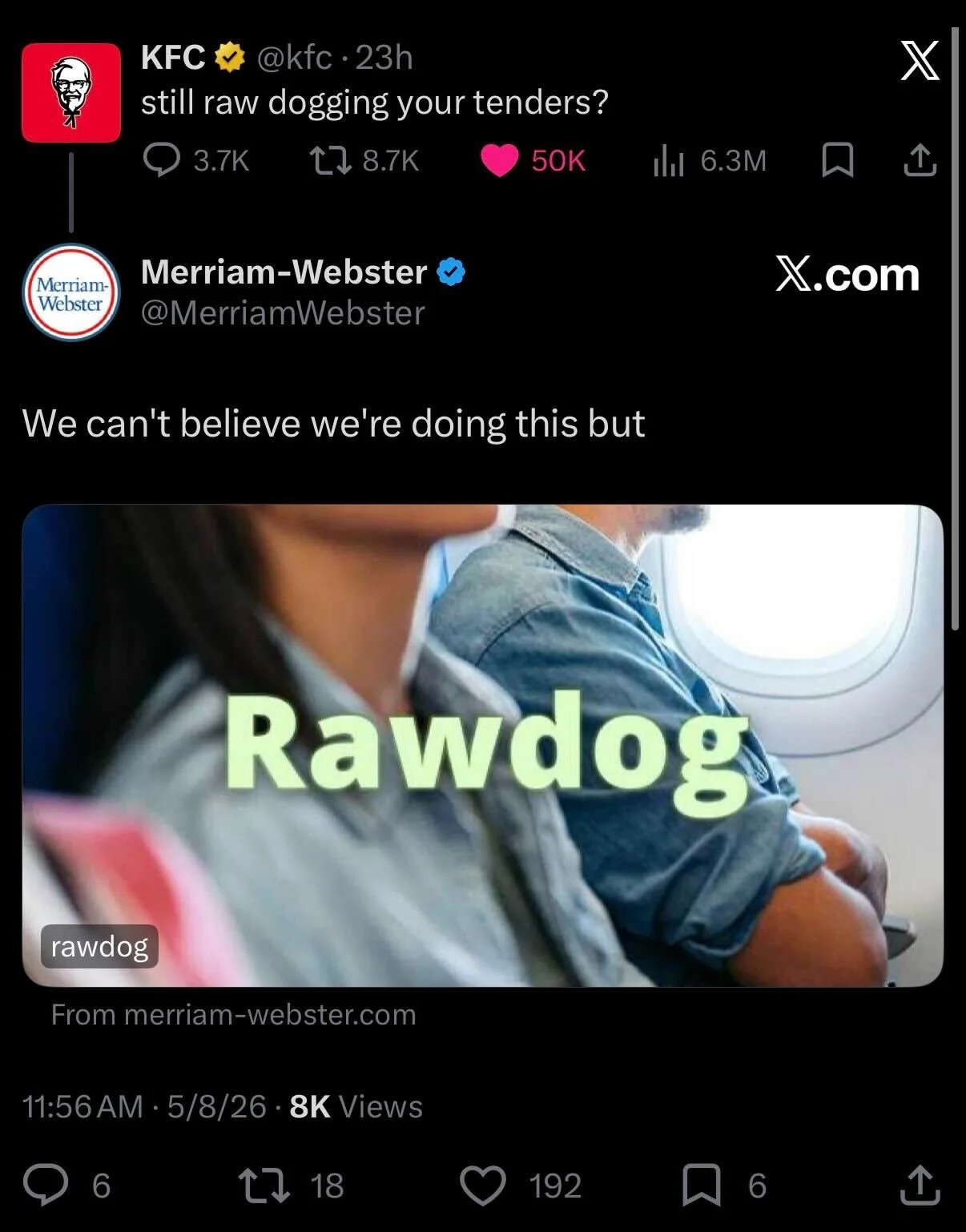 merriam webster in the chat 