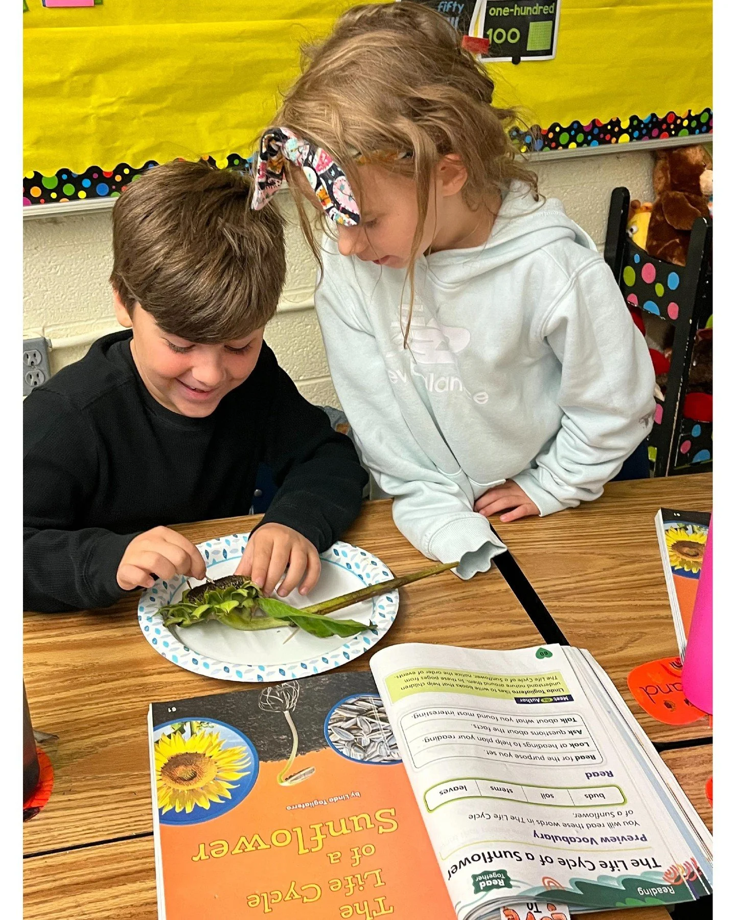 Grantee Spotlight: Steve Baker | Spice Field Kitchen, Inc.
Open Grant &ndash; Deep Learning | Summer 2025
Project: Understanding Our Community Food System

With support from a Martha Holden Jennings Foundation Open Grant, Spice Field Kitchen (SFK) is