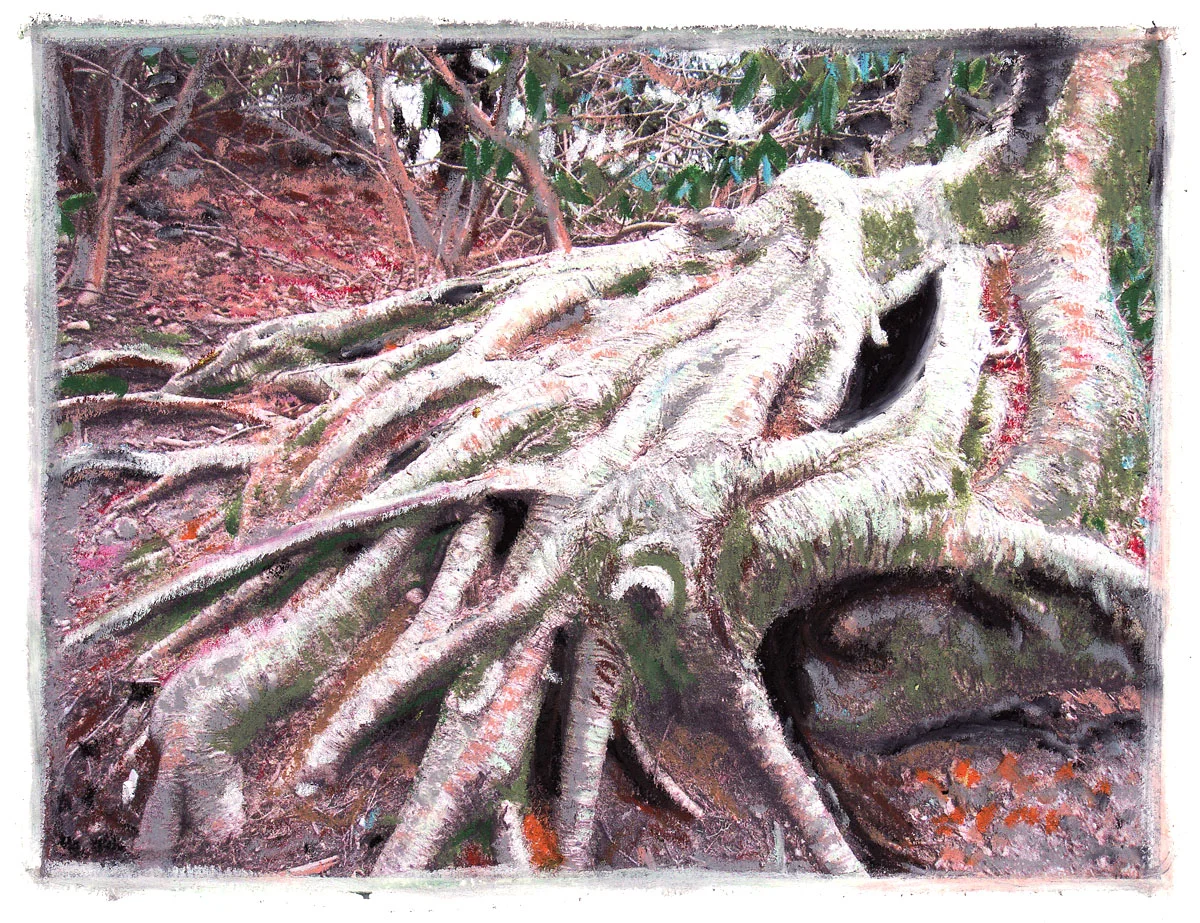 dragon tree.jpg