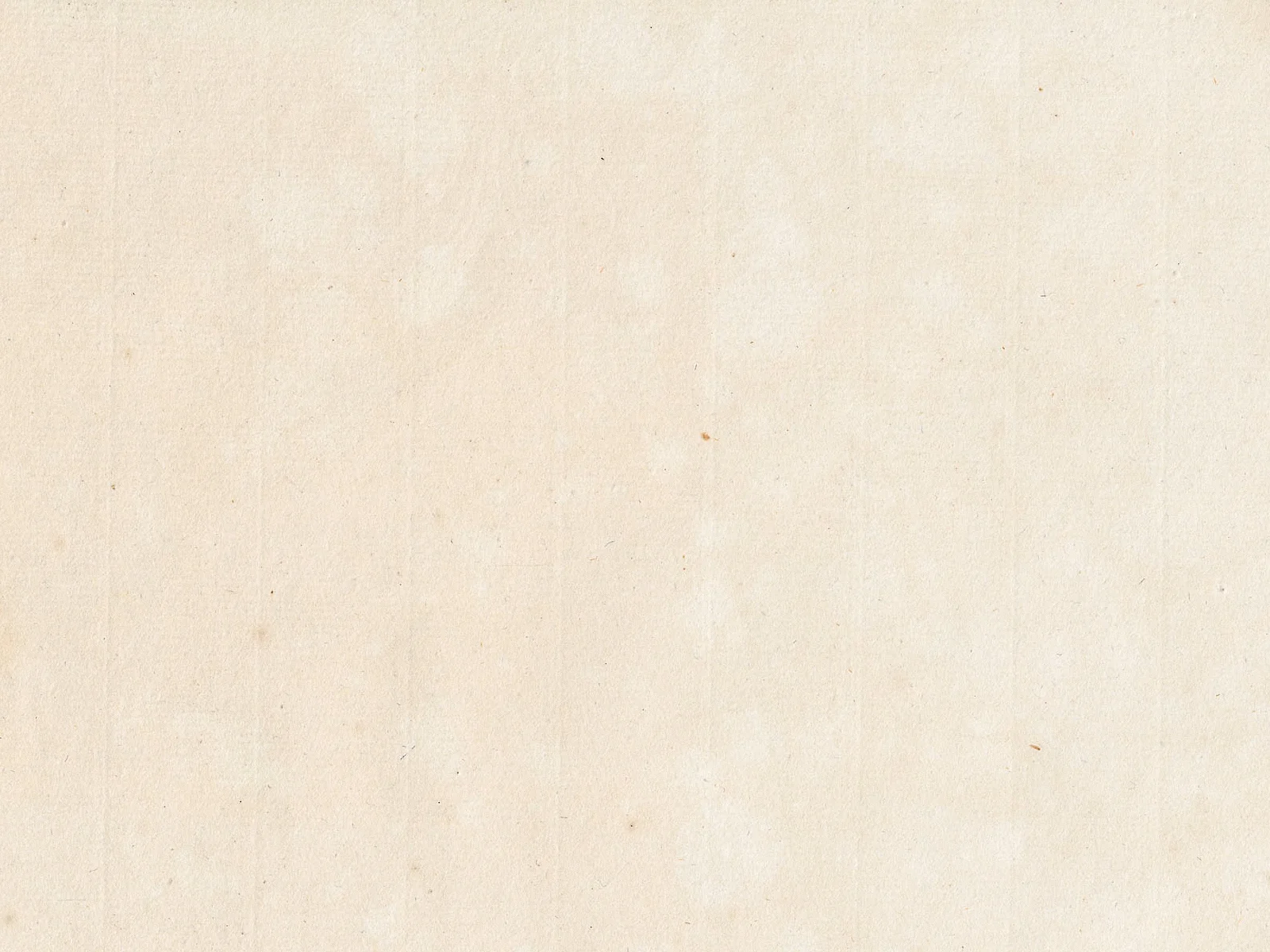 paper_texture_05 copy.jpg