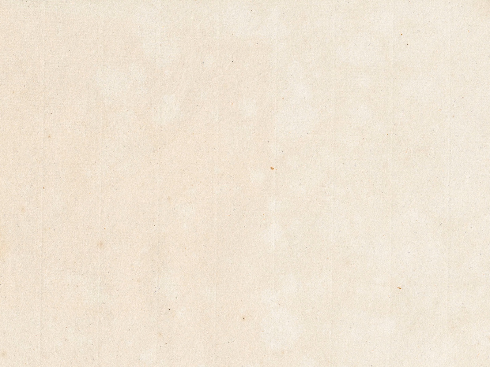paper_texture_05 copy.jpg
