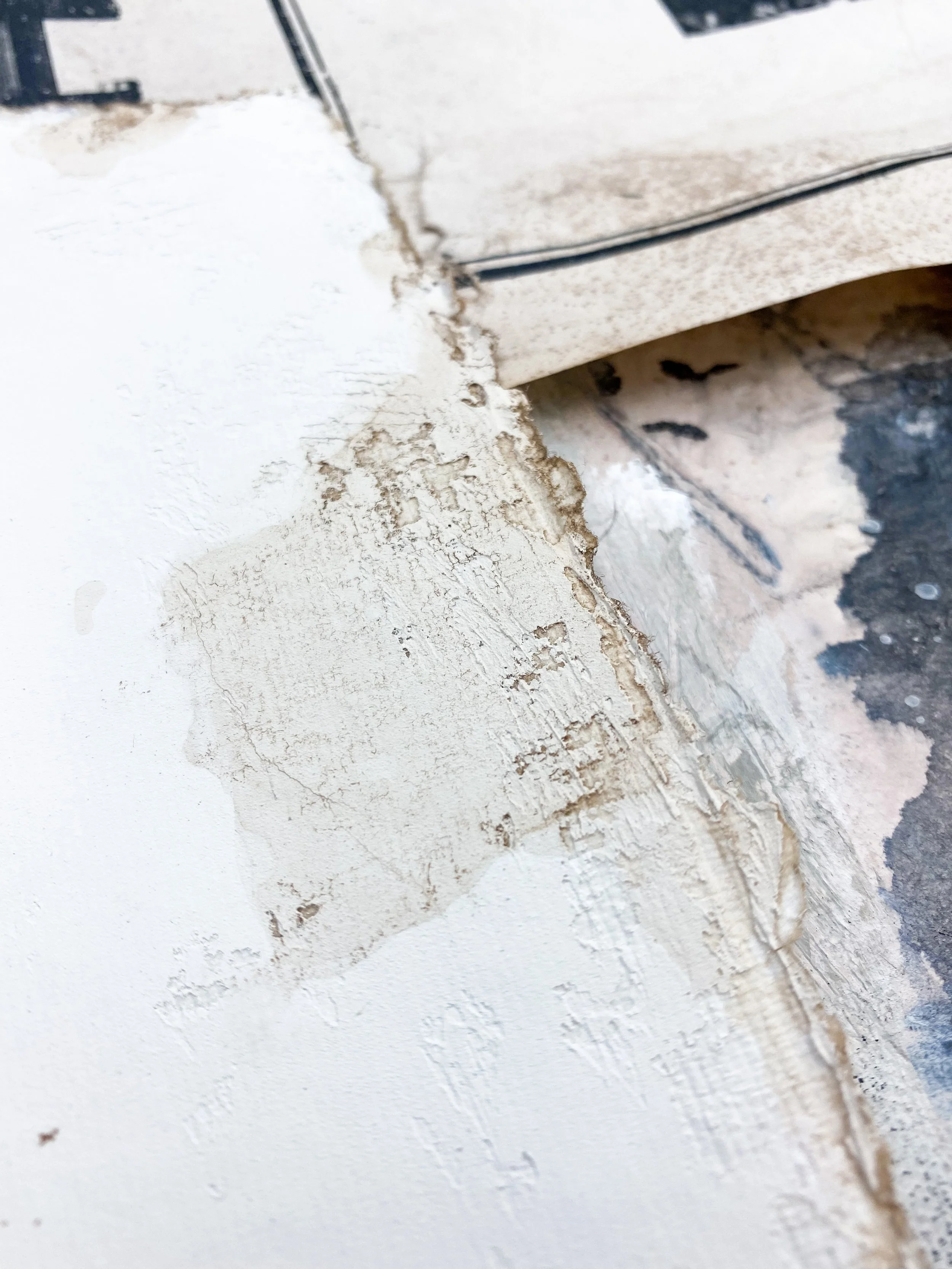 Plaster + Gesso = Delicious, FLEXIBLE, texture! — Stephanie Lee Art