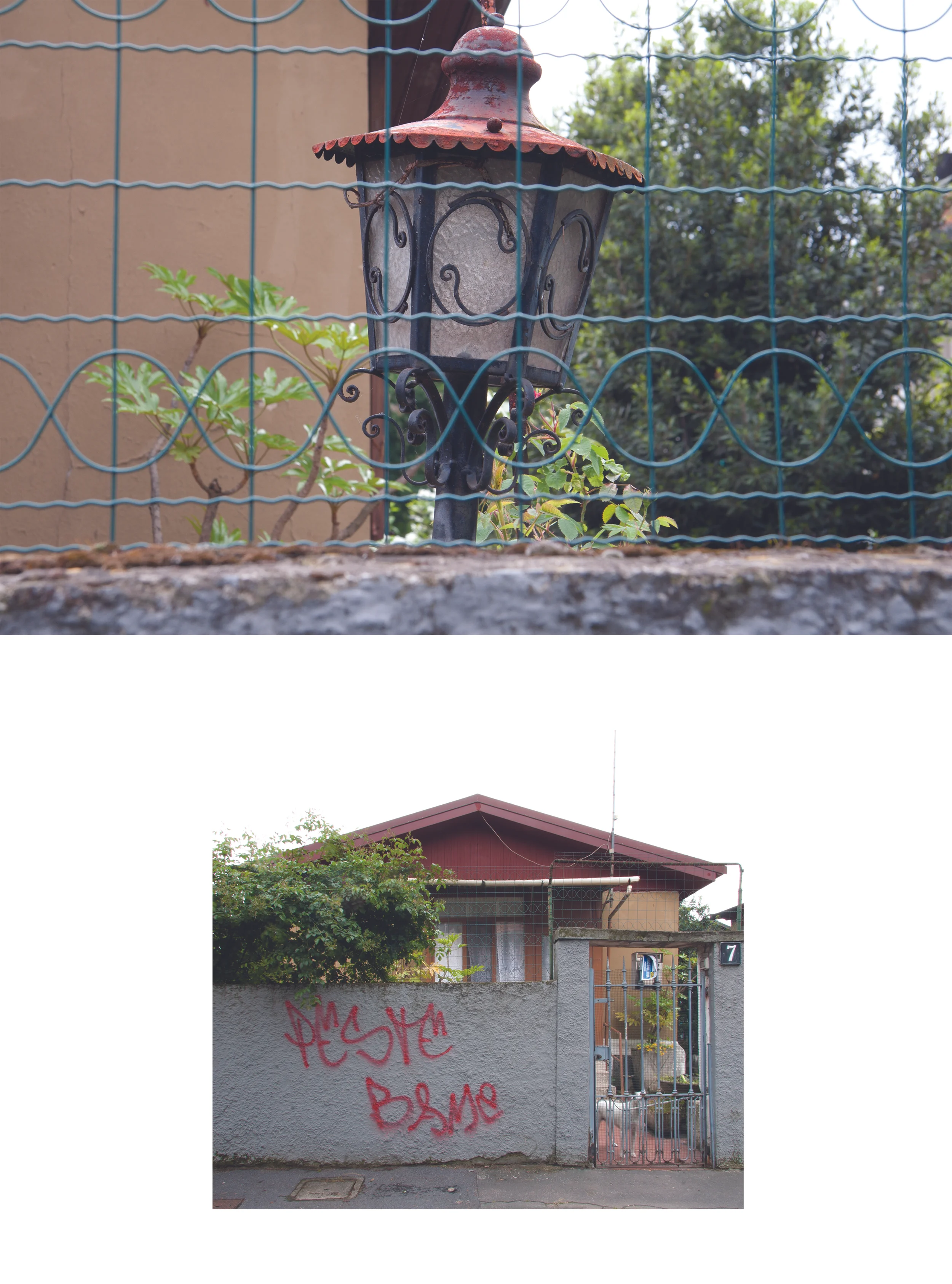 Ritrattidicasa_Sara Moiola_02.jpg