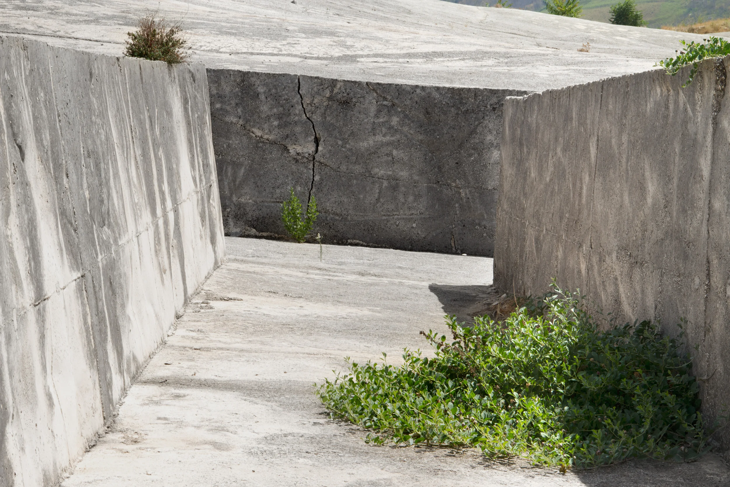 Concrete Memory _Sara Moiola_04.jpg