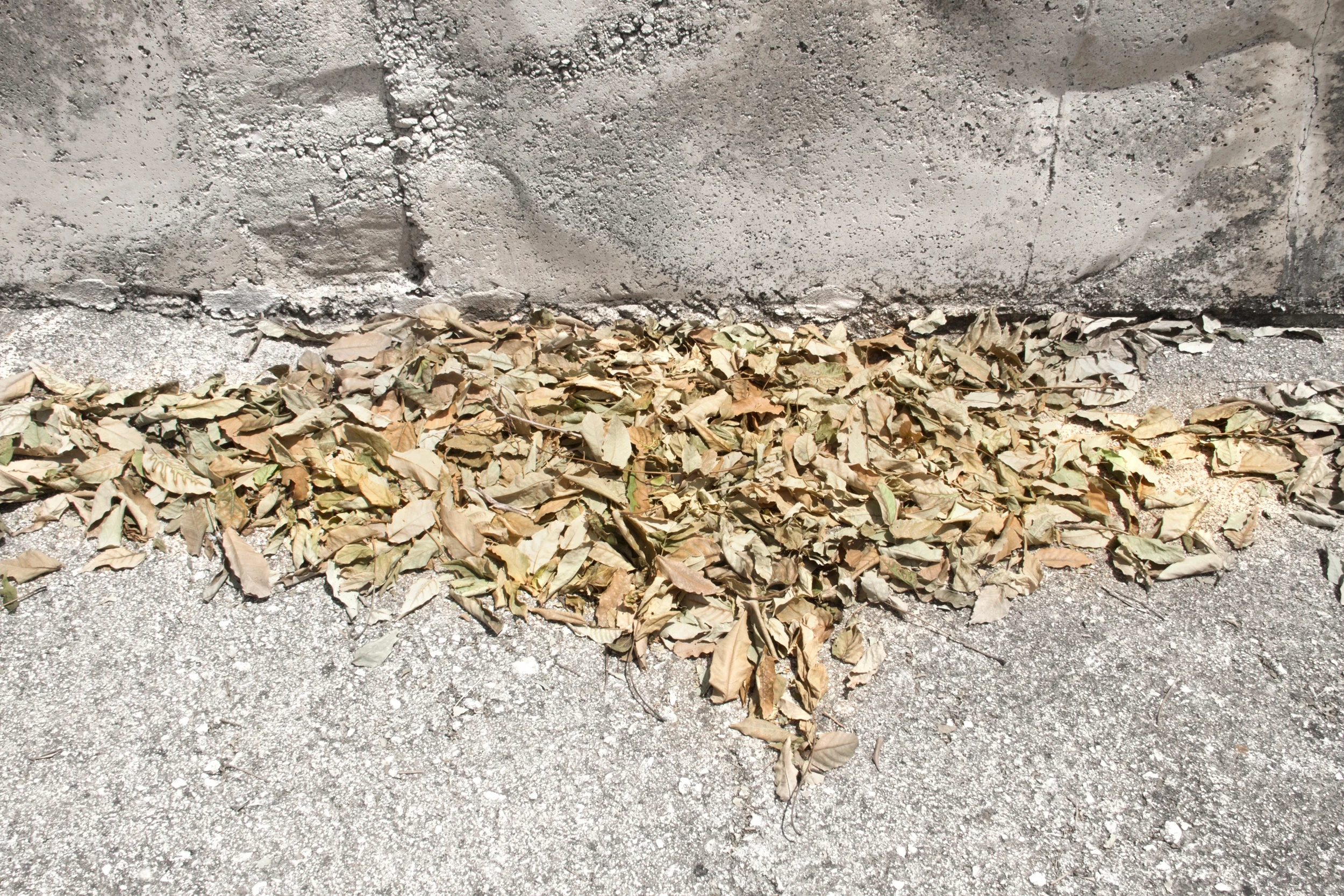 Concrete Memory _Sara Moiola_03.jpg