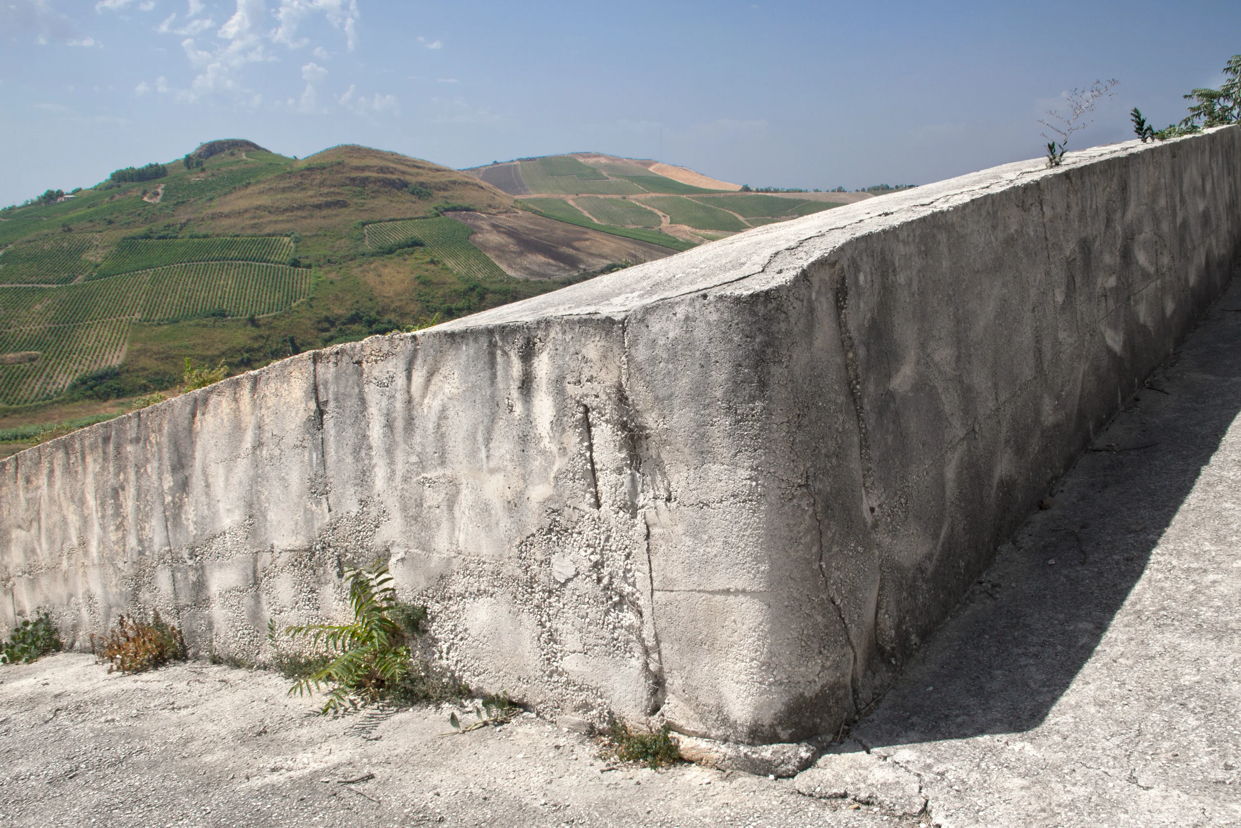 Concrete Memory _Sara Moiola_05.jpg