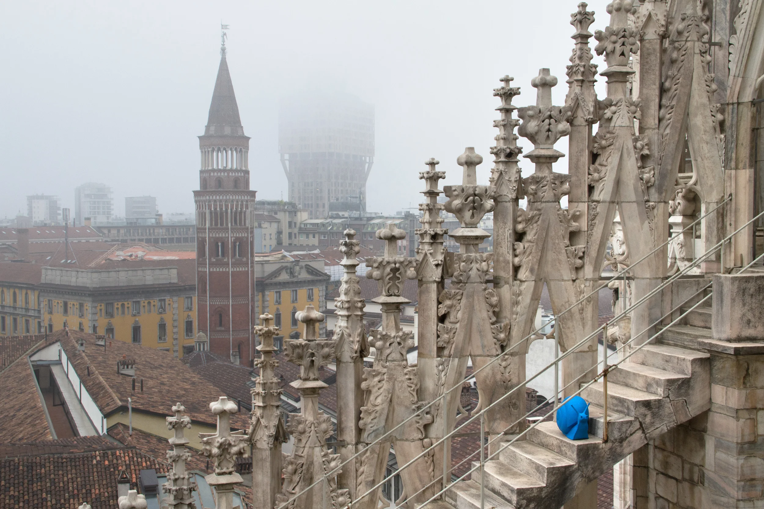 Regeneration_Sara Moiola_01.jpg