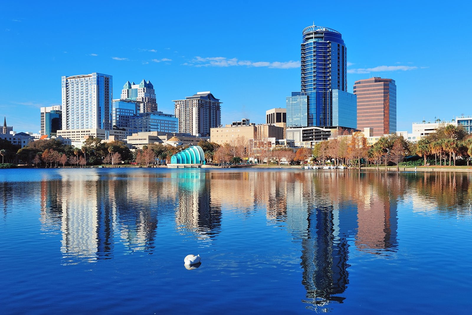 Industry AXS IN PERSON Auditions (ORLANDO)