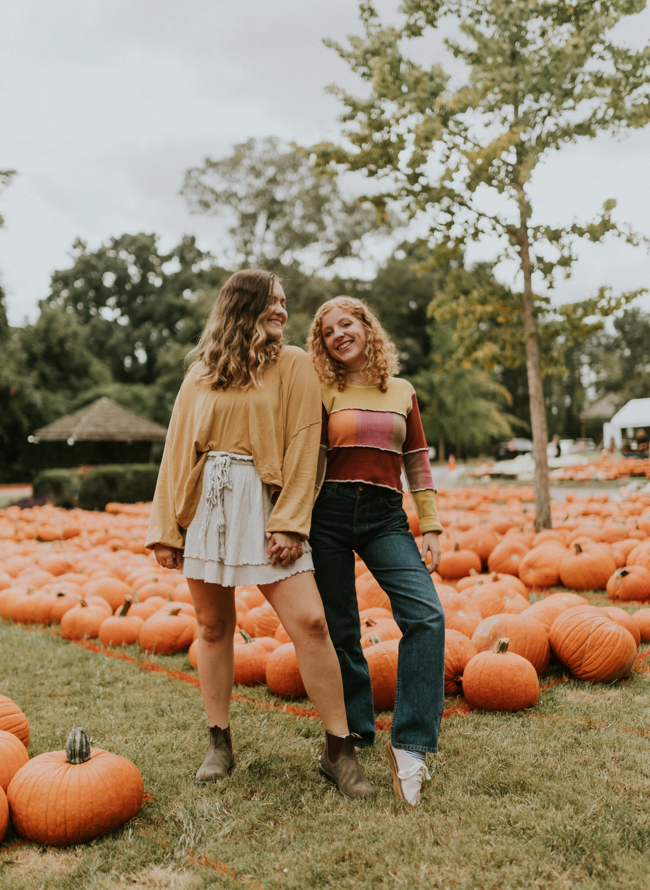 Pumpkin Patch
