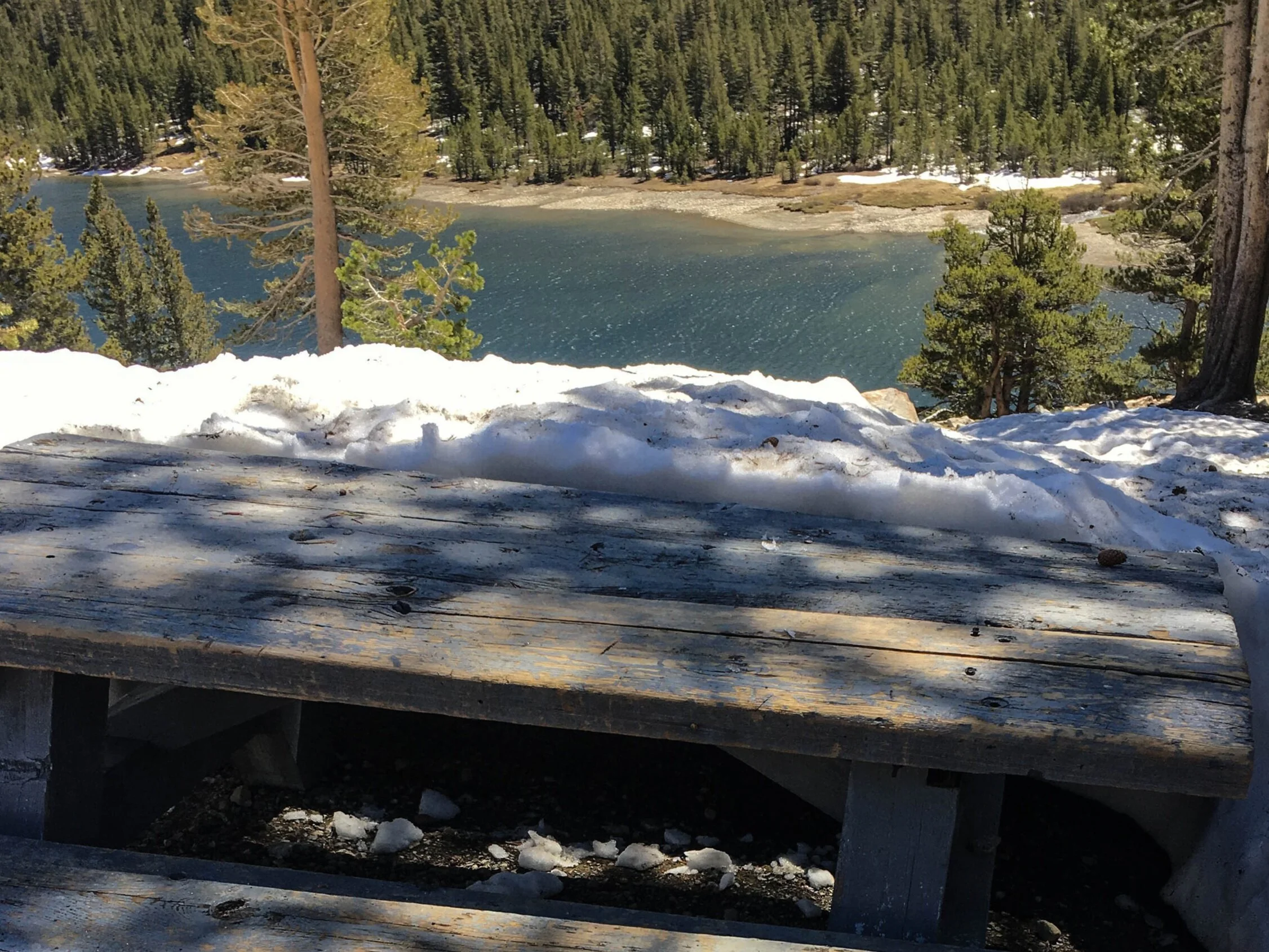 The Journey Home From Yosemite