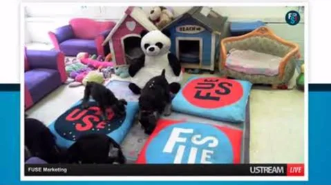 Fuse Marketing