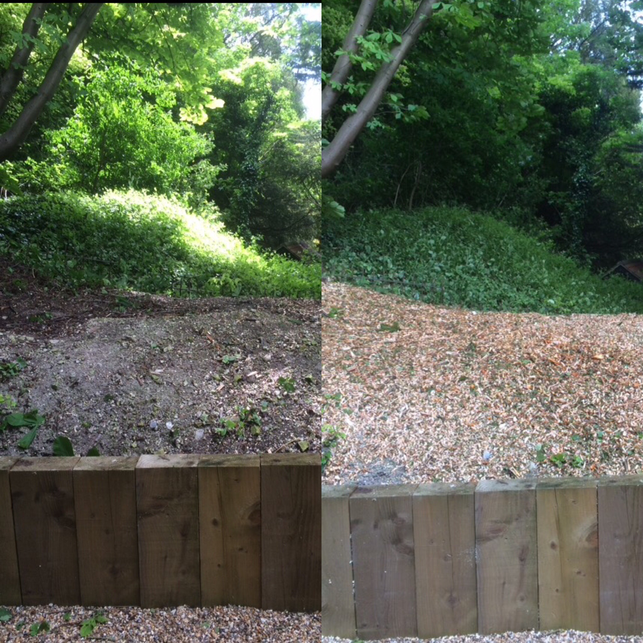 wood-chip1.jpg