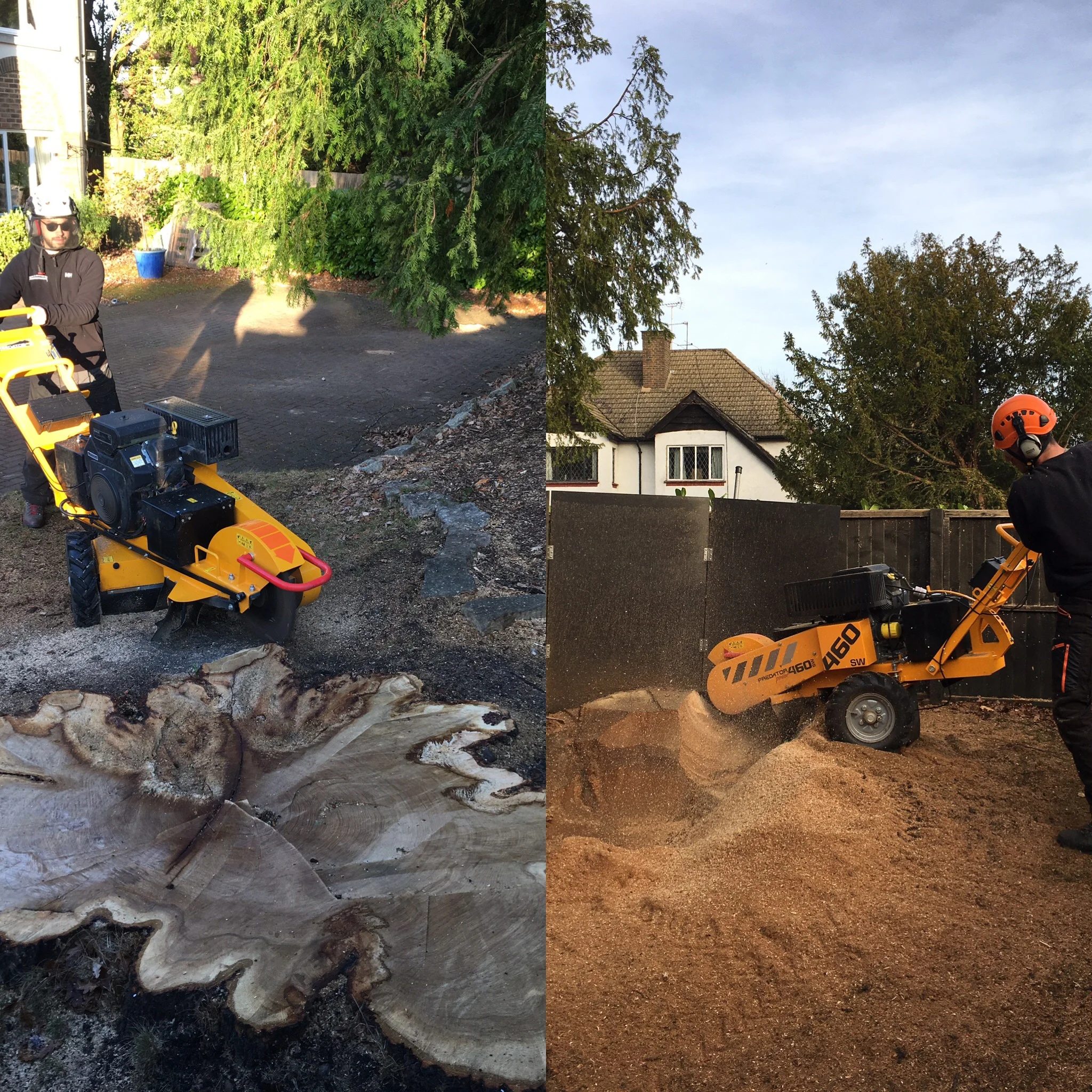 stump-grinding1.jpg