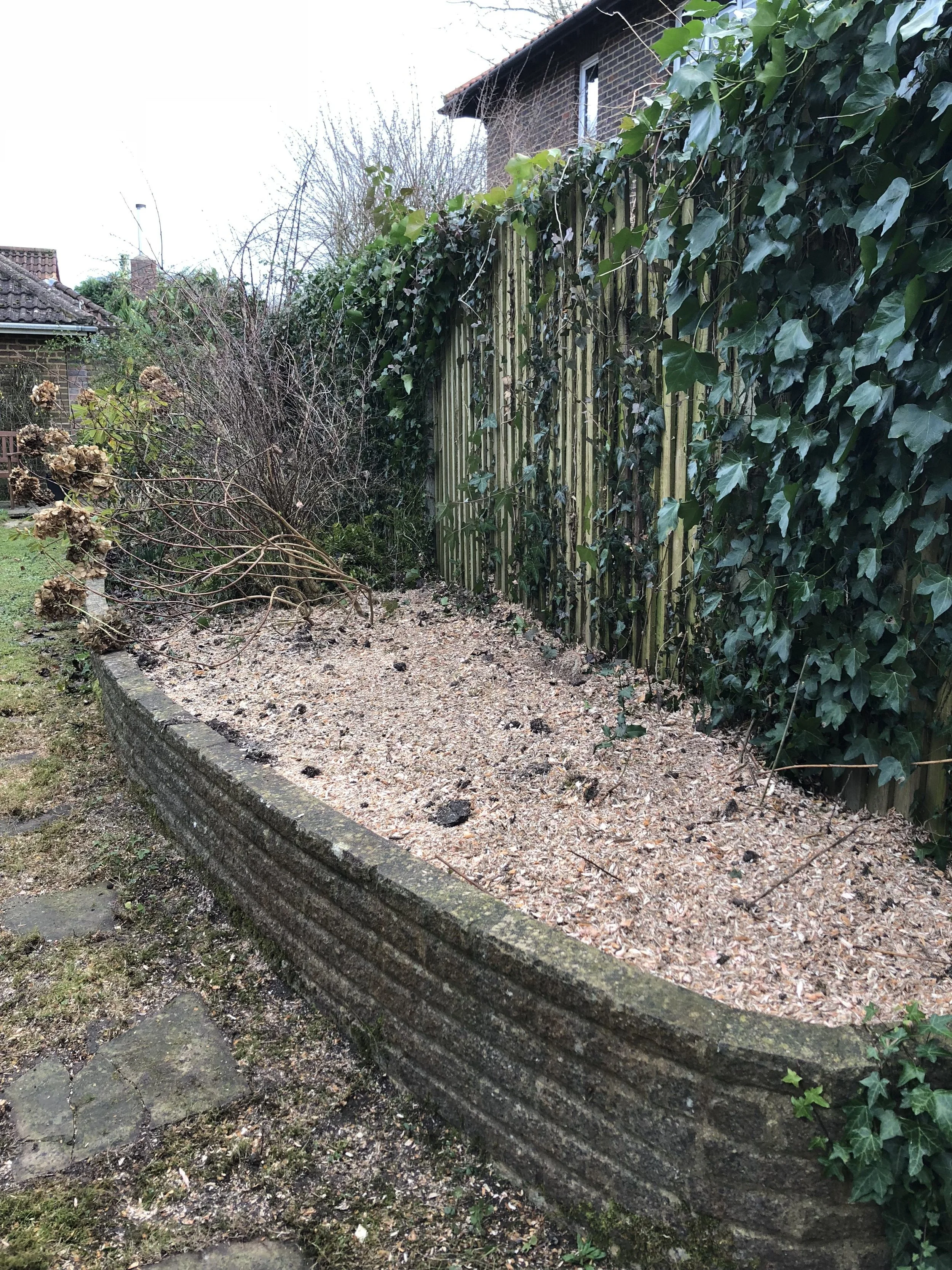 stump-grinding4-e1522758983656.jpg