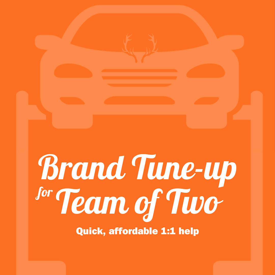Brand Tune-Up- for a team of two