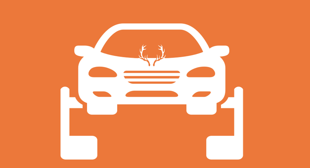 10Point Business TuneUps — Applied Brand Science