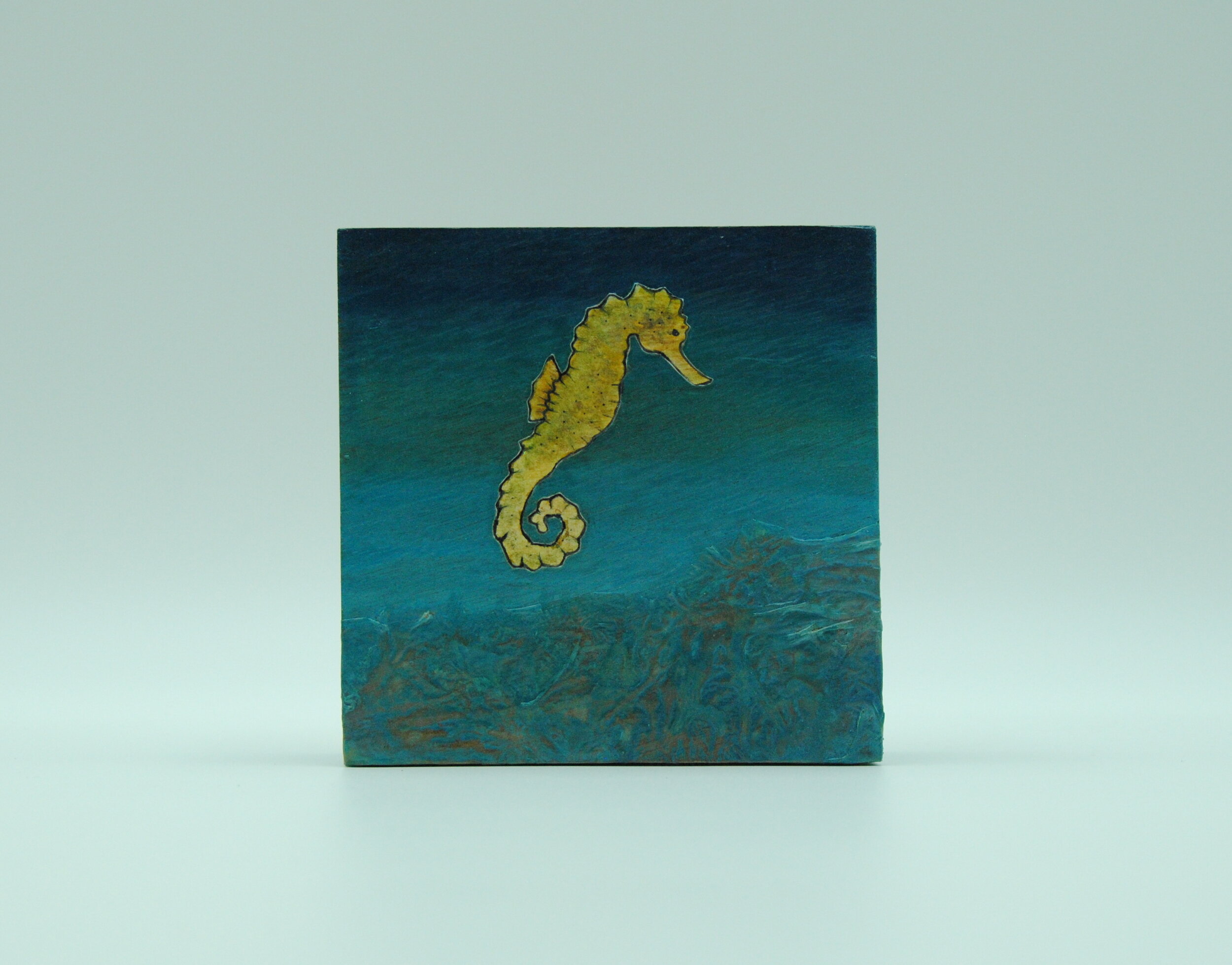 Seahorse43(5x5)2019 copy.JPG